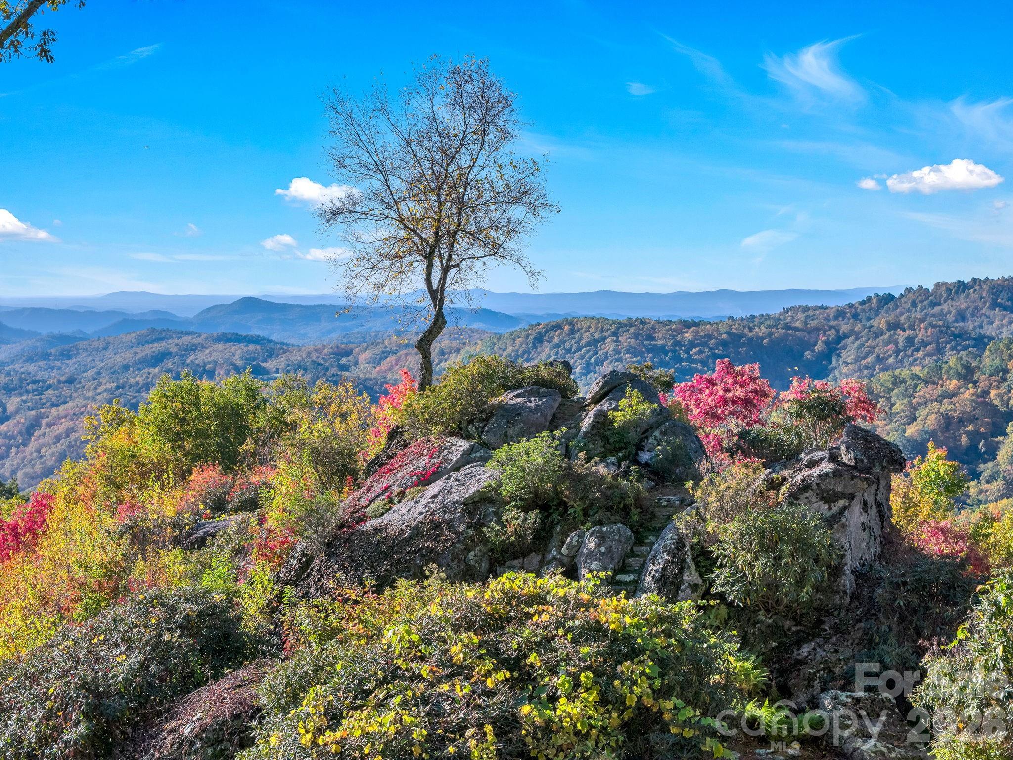 933 Thunder Ridge Lane #4 & 2 — Lenoir