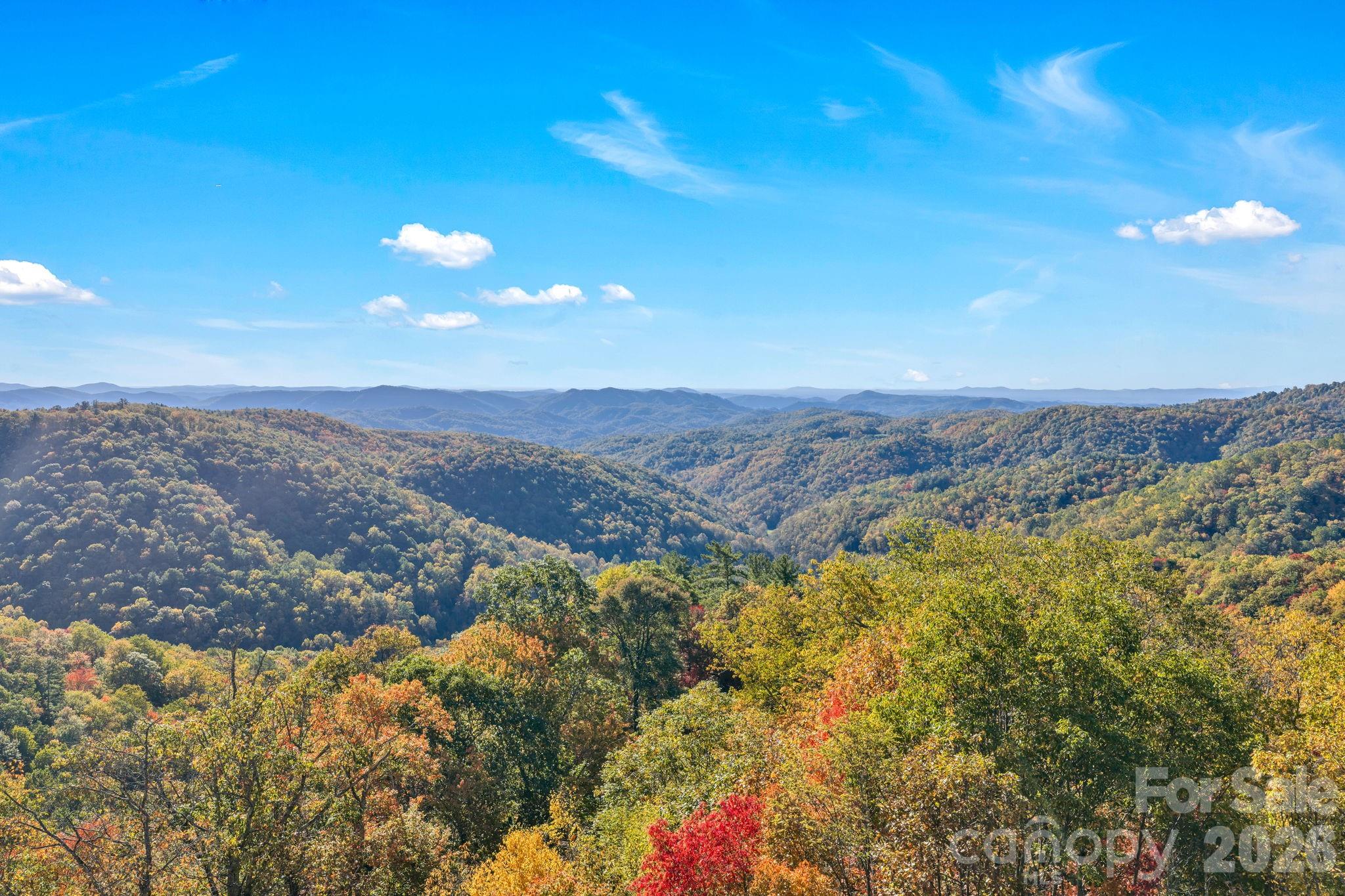 933 Thunder Ridge Lane #4 & 2 — Lenoir