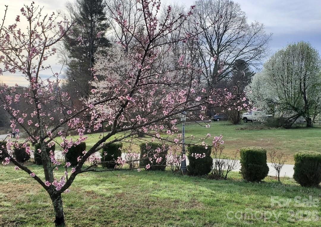 476 Jackson Loop Road — Flat Rock