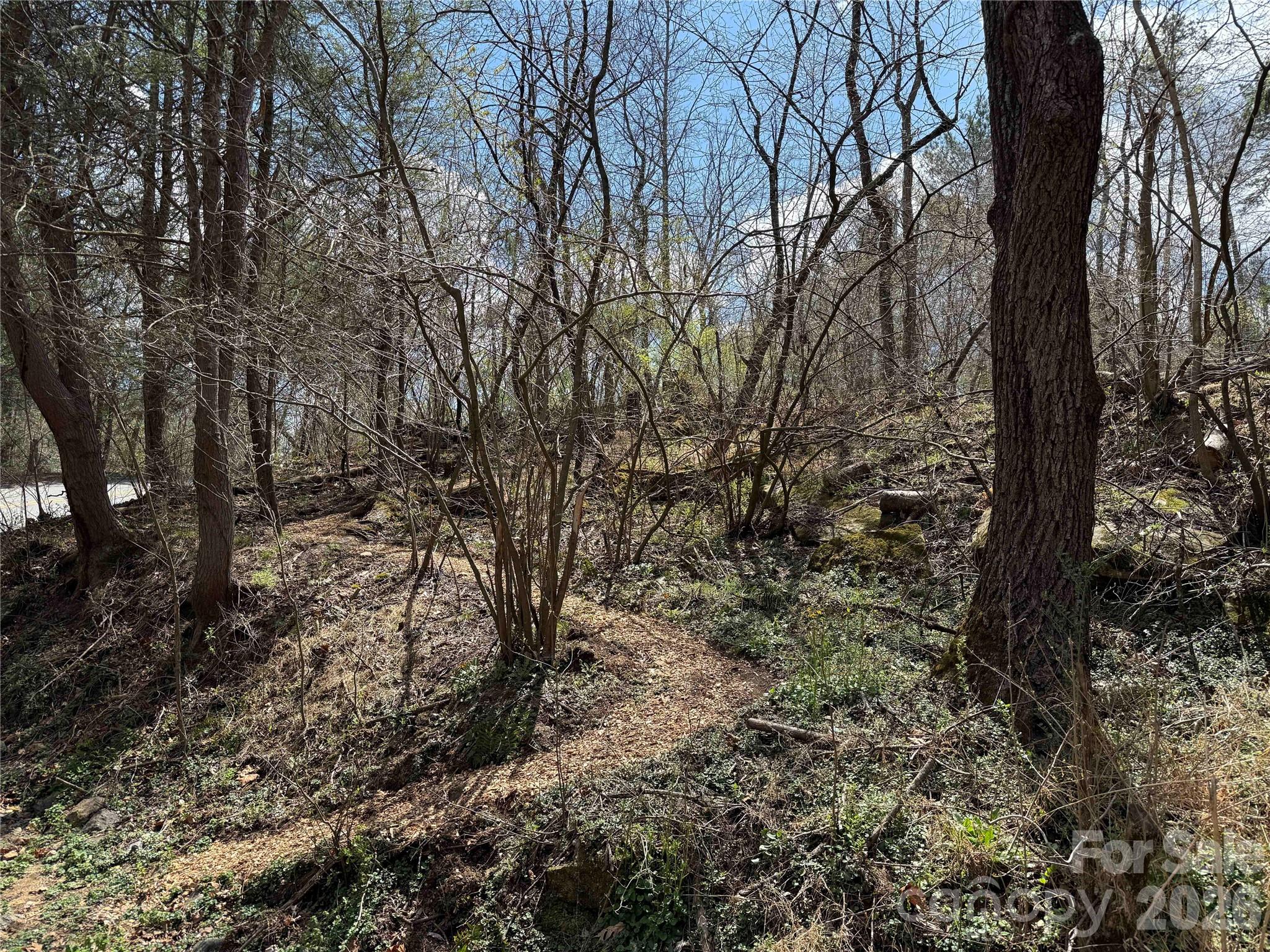 4 Zachary Ridge Road — Asheville