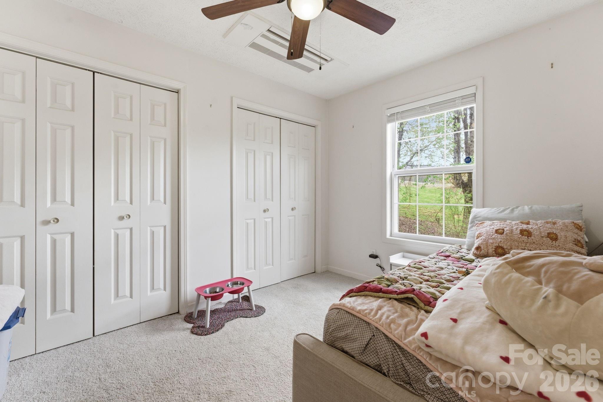 81 Bullfrog Cove Road — Sylva