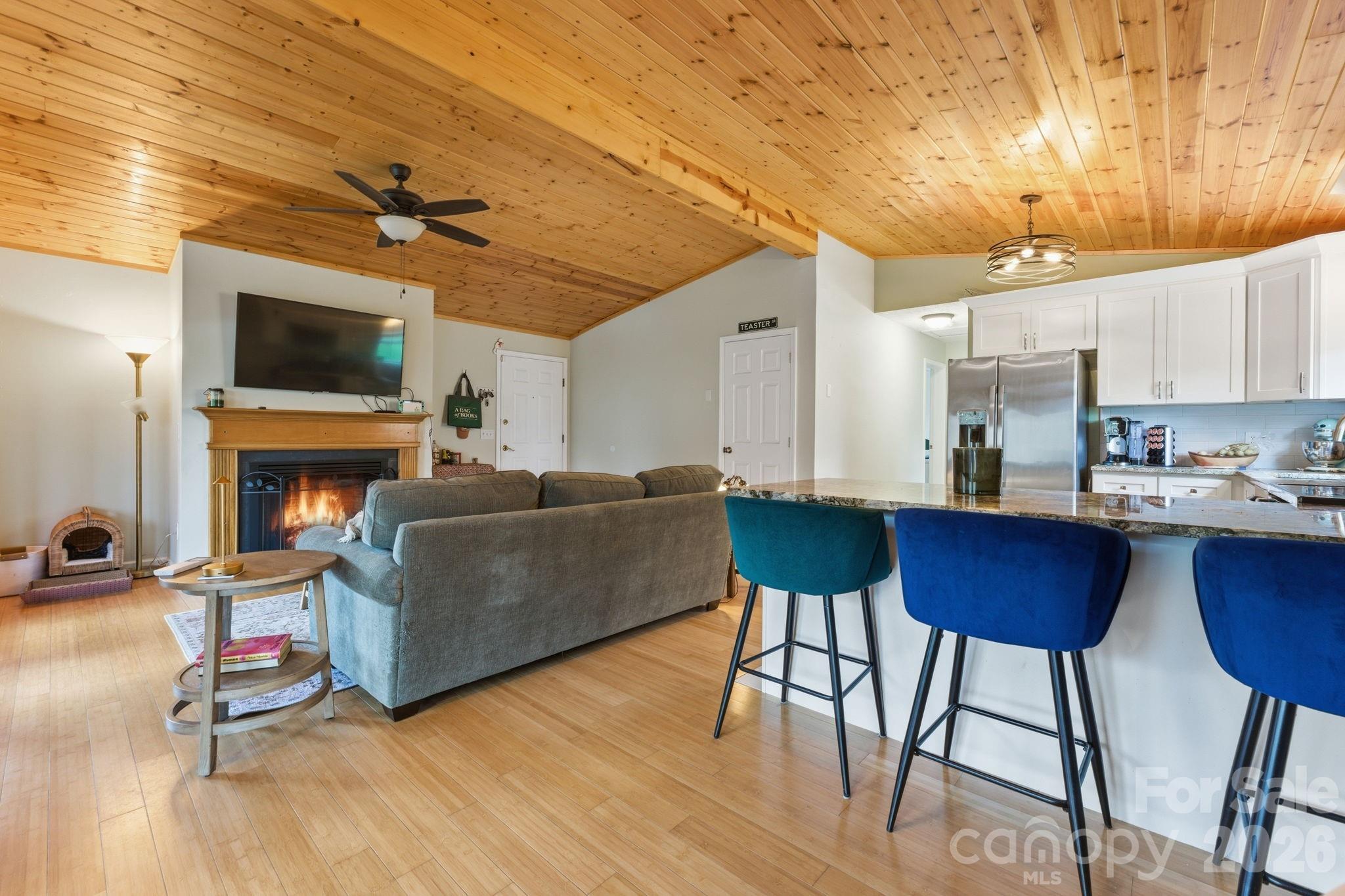 81 Bullfrog Cove Road — Sylva