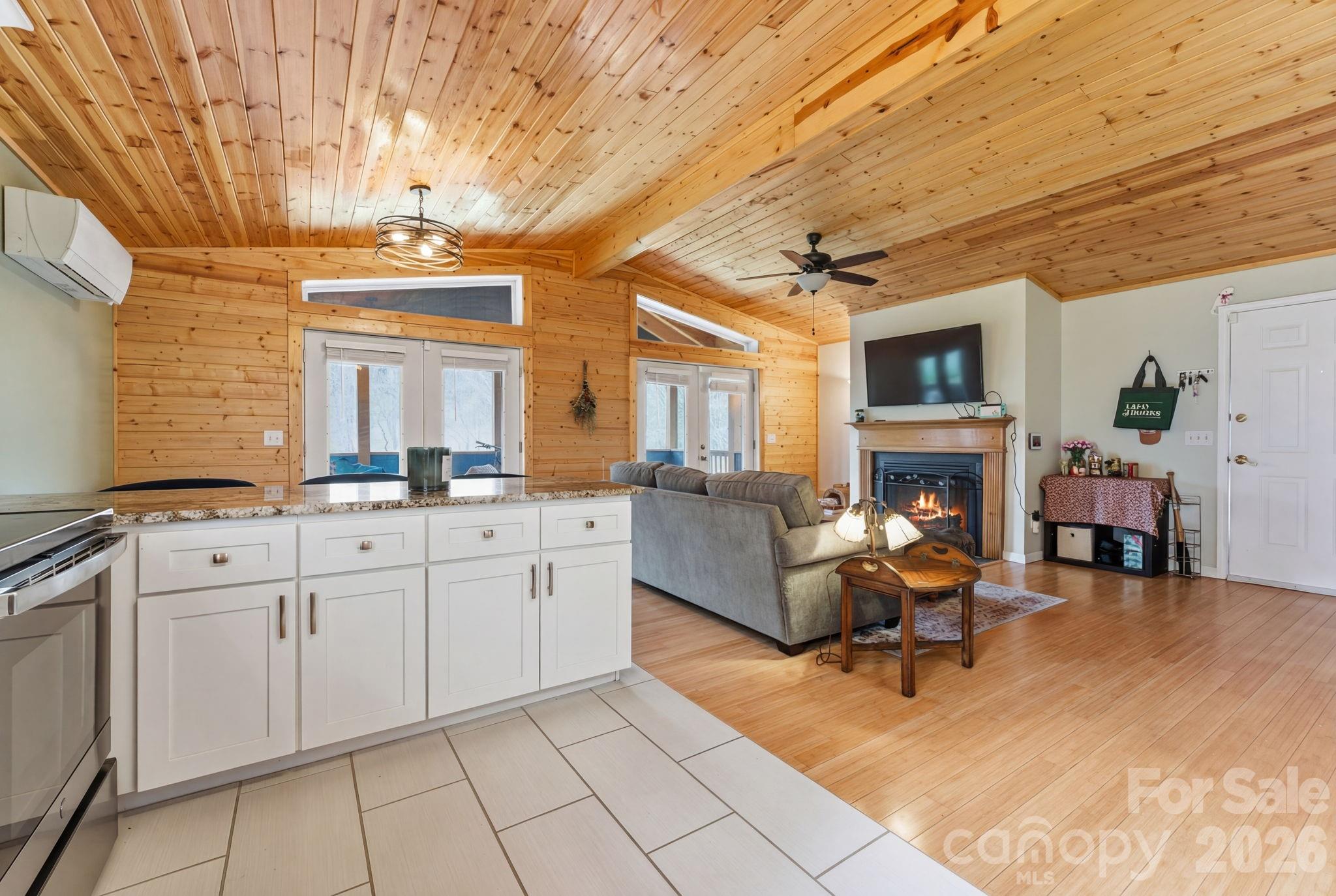 81 Bullfrog Cove Road — Sylva