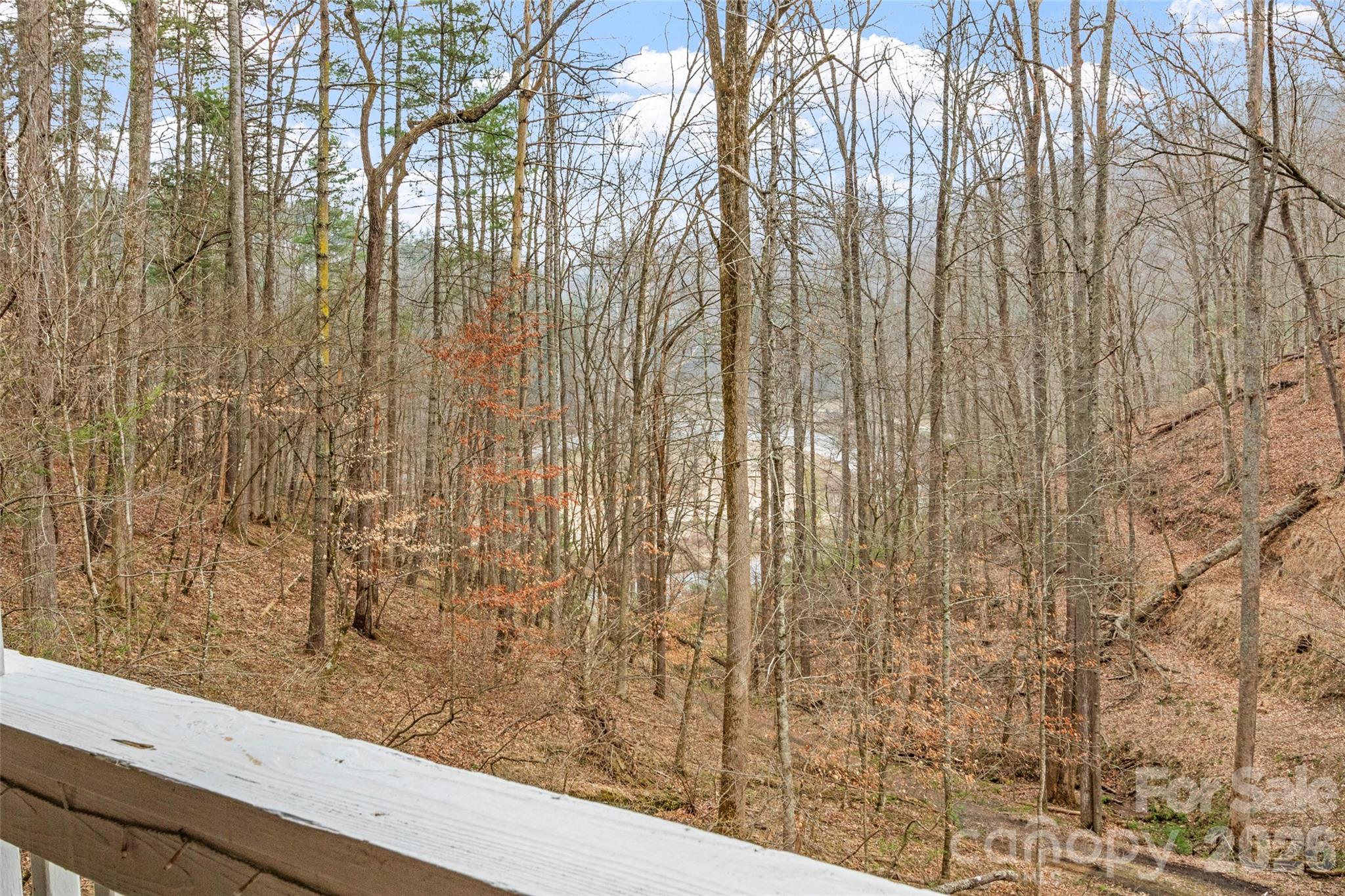 2701 Roses Branch Road — Bakersville