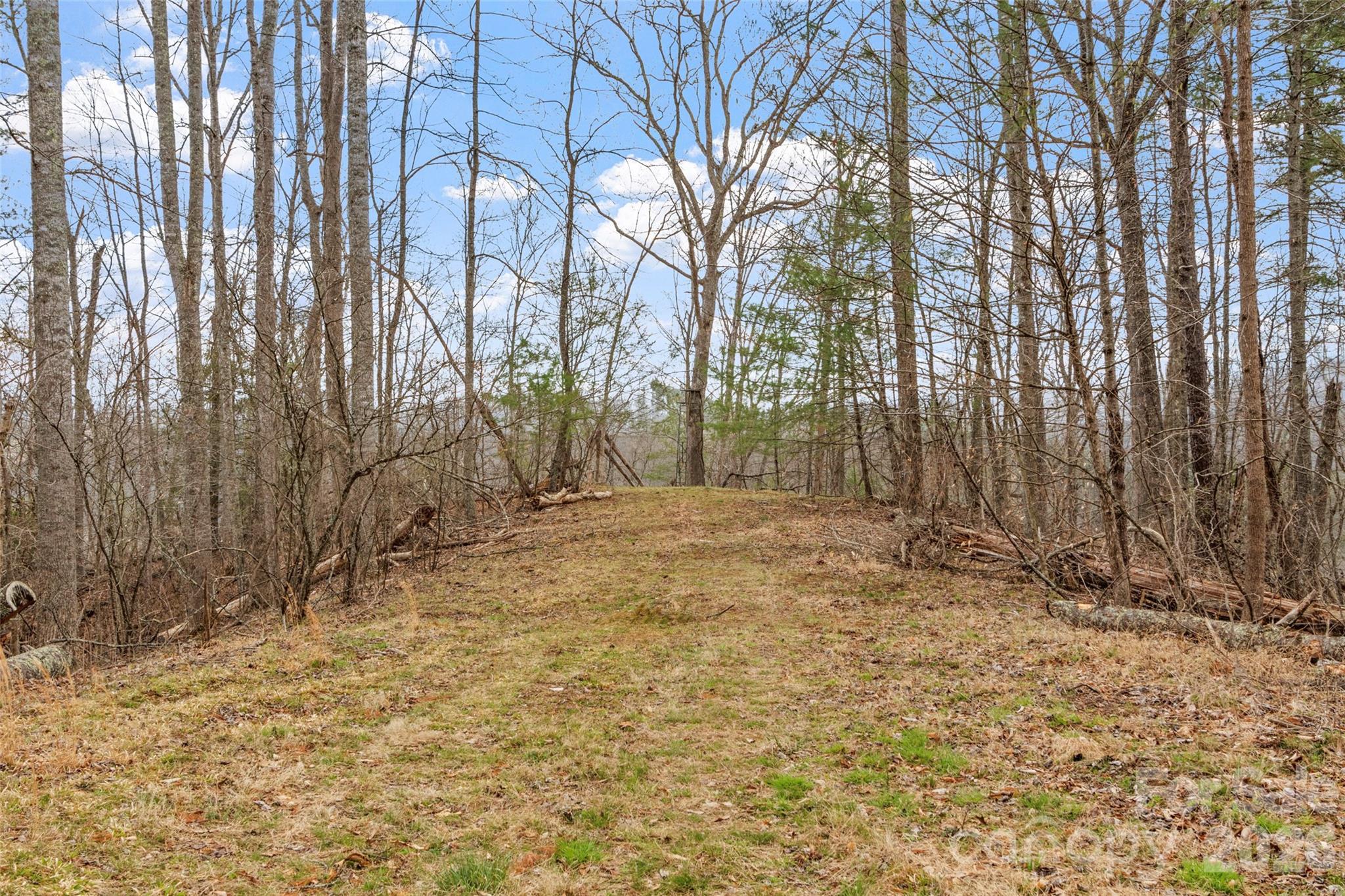 2701 Roses Branch Road — Bakersville