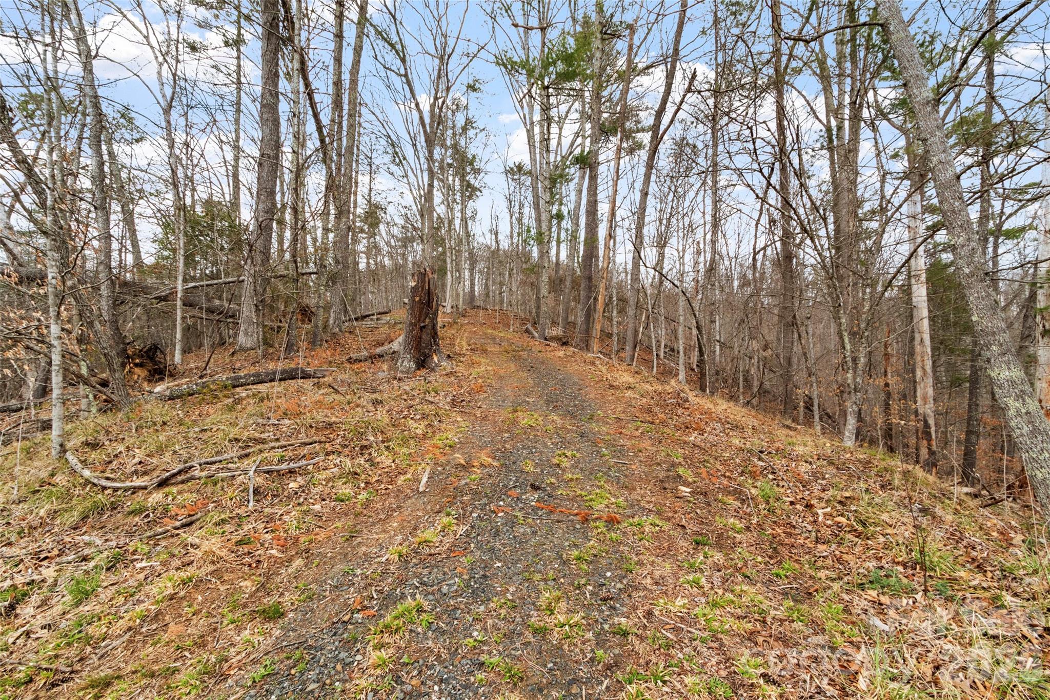 2701 Roses Branch Road — Bakersville