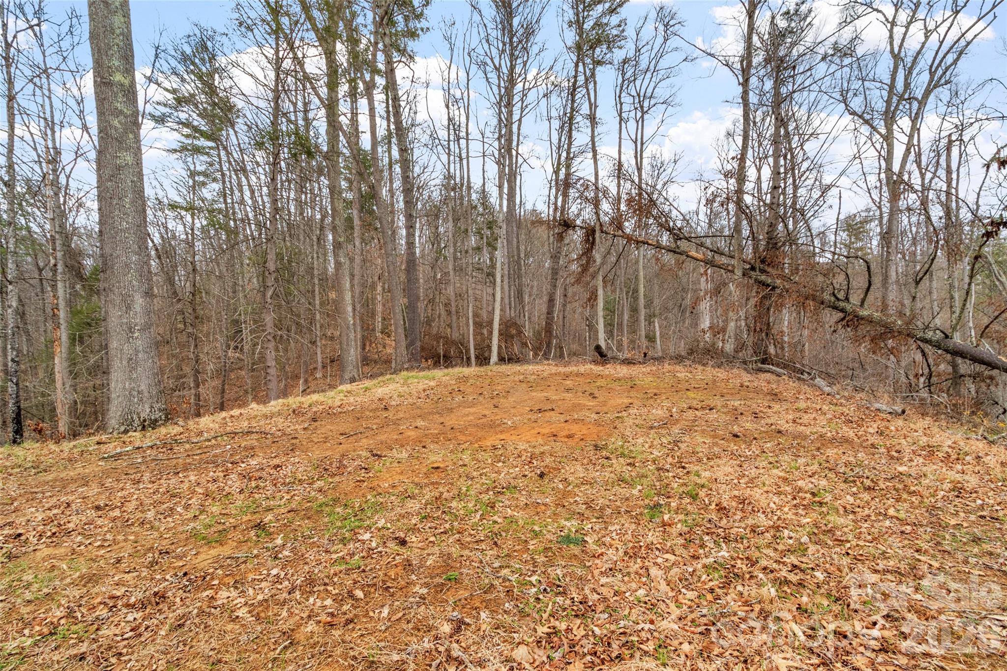 2701 Roses Branch Road — Bakersville