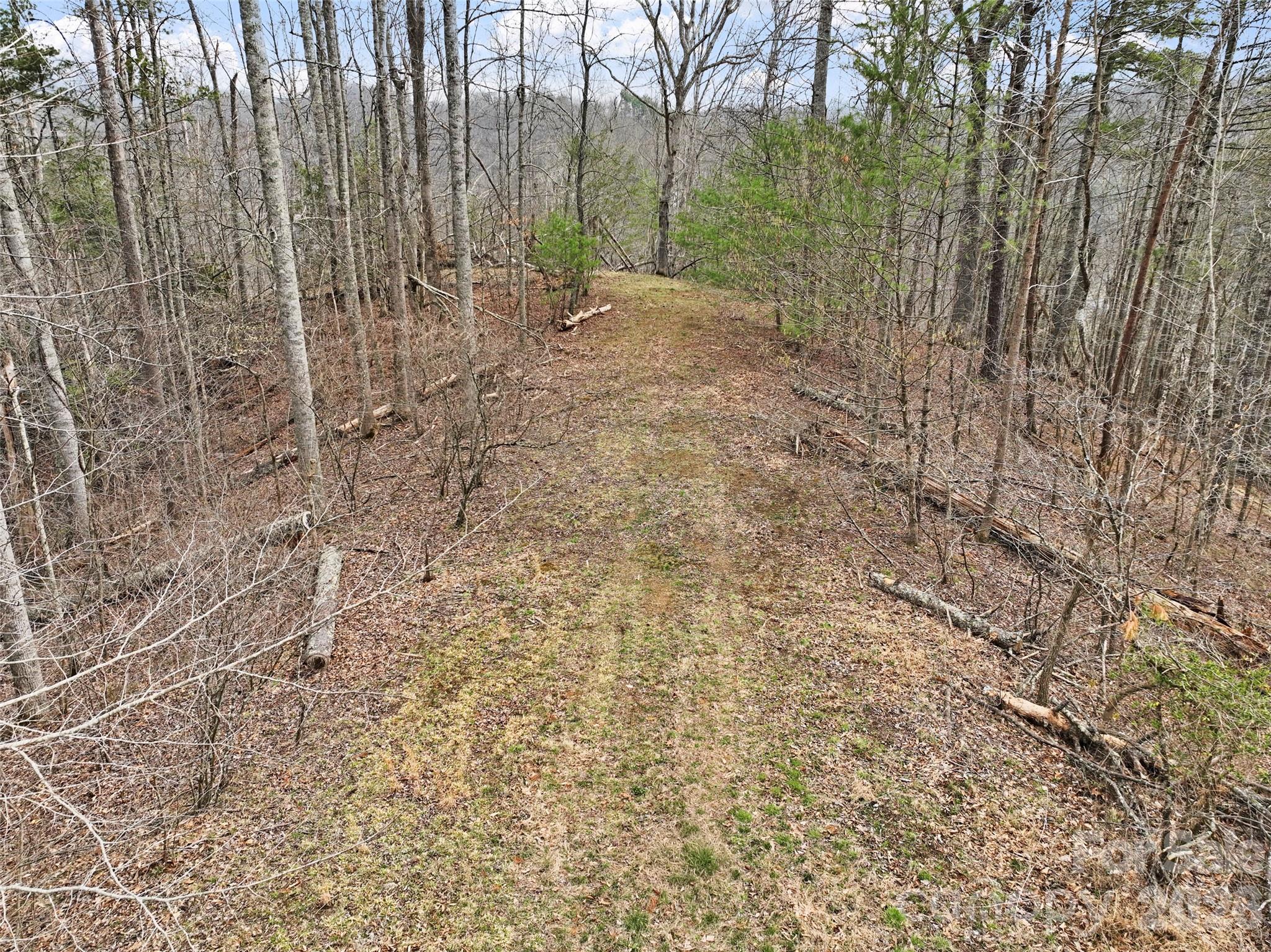 2701 Roses Branch Road — Bakersville