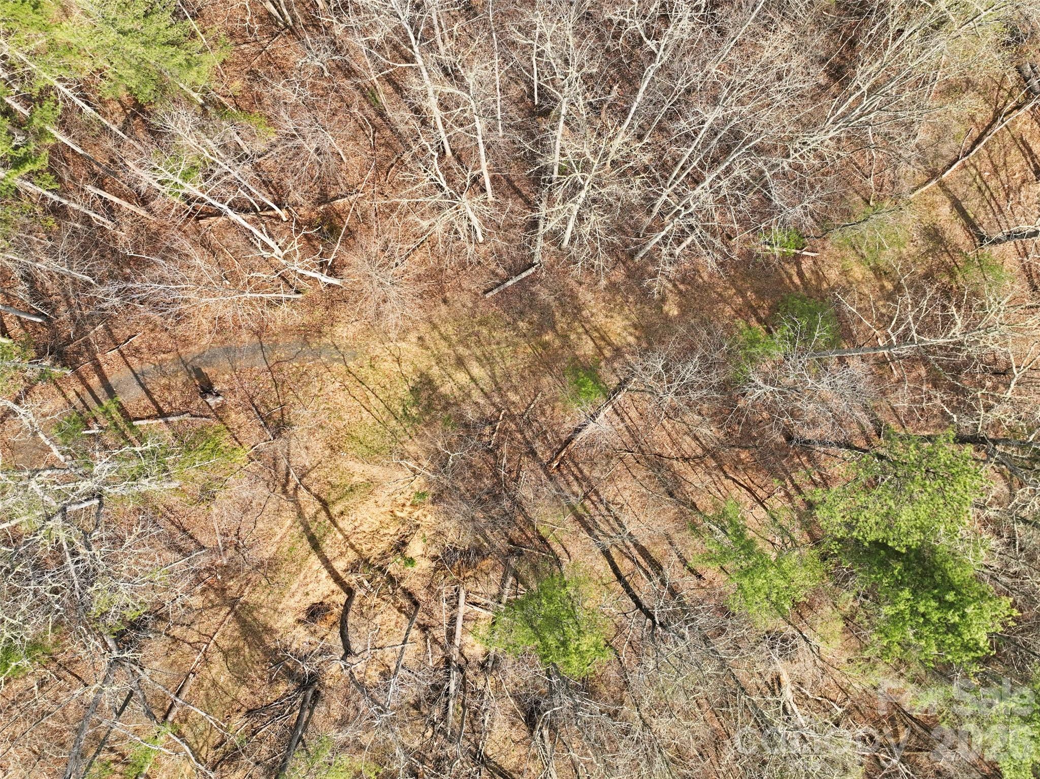 2701 Roses Branch Road — Bakersville