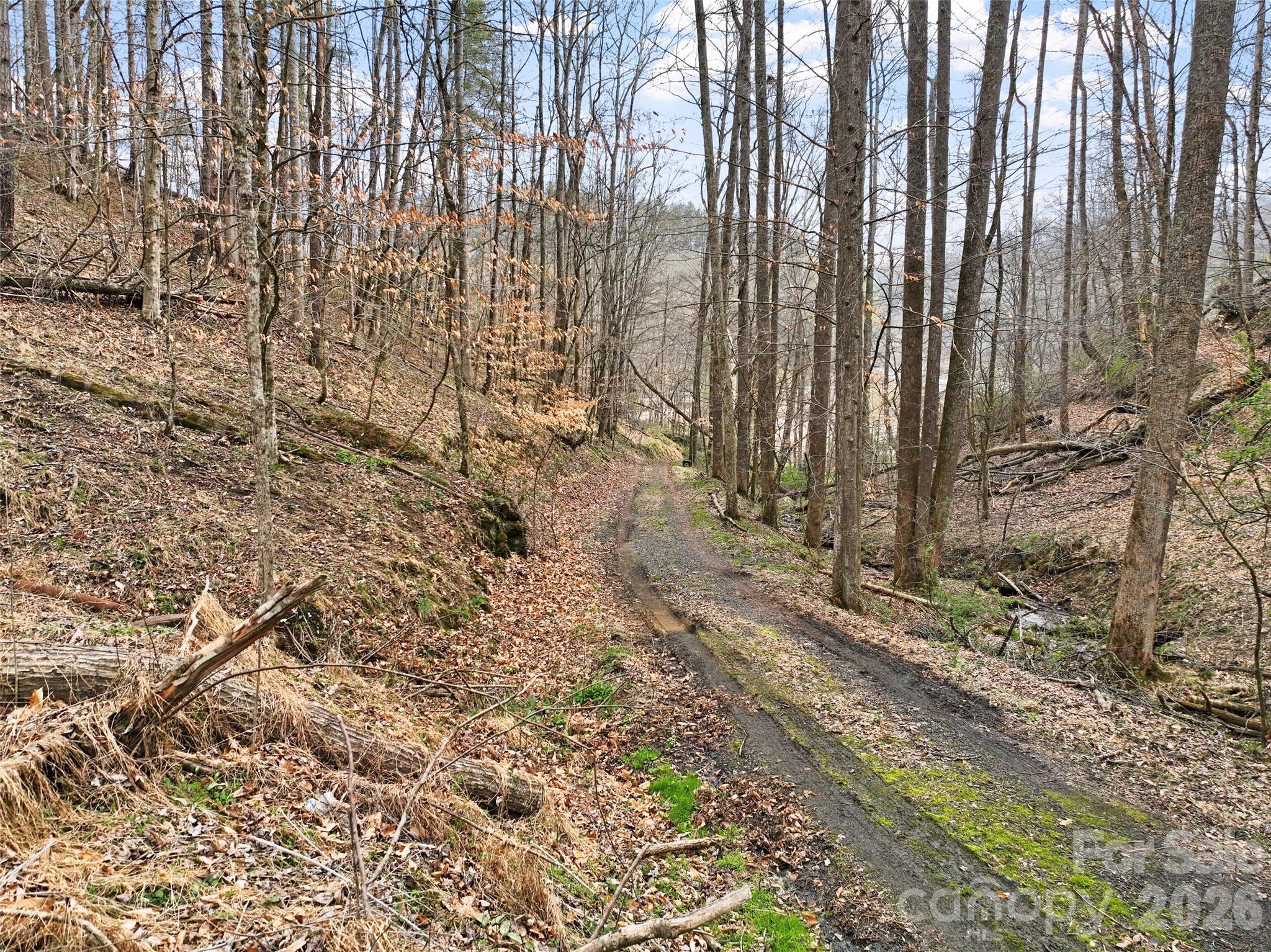 2701 Roses Branch Road — Bakersville