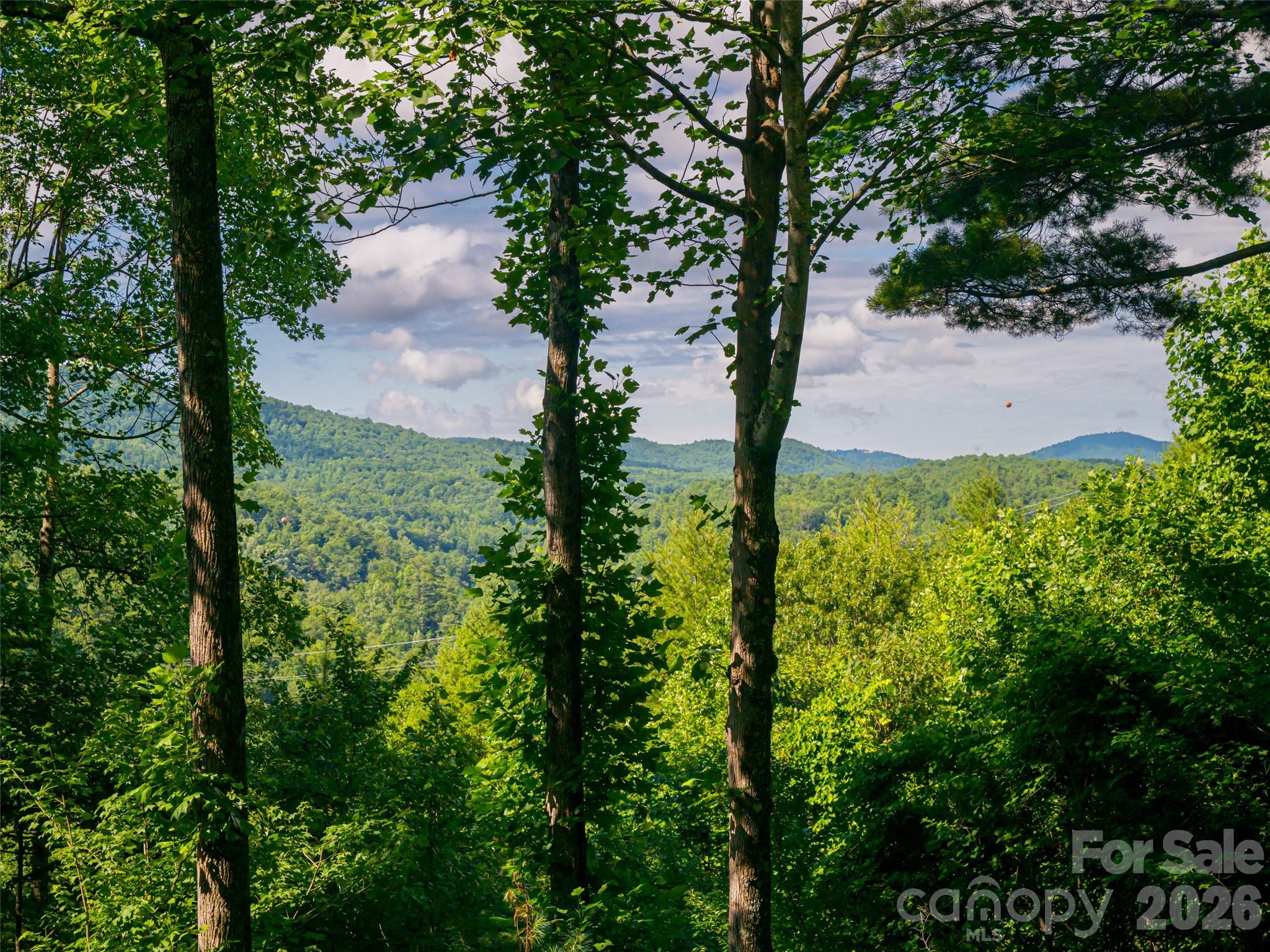 935 Whites Lake Boulevard — Saluda
