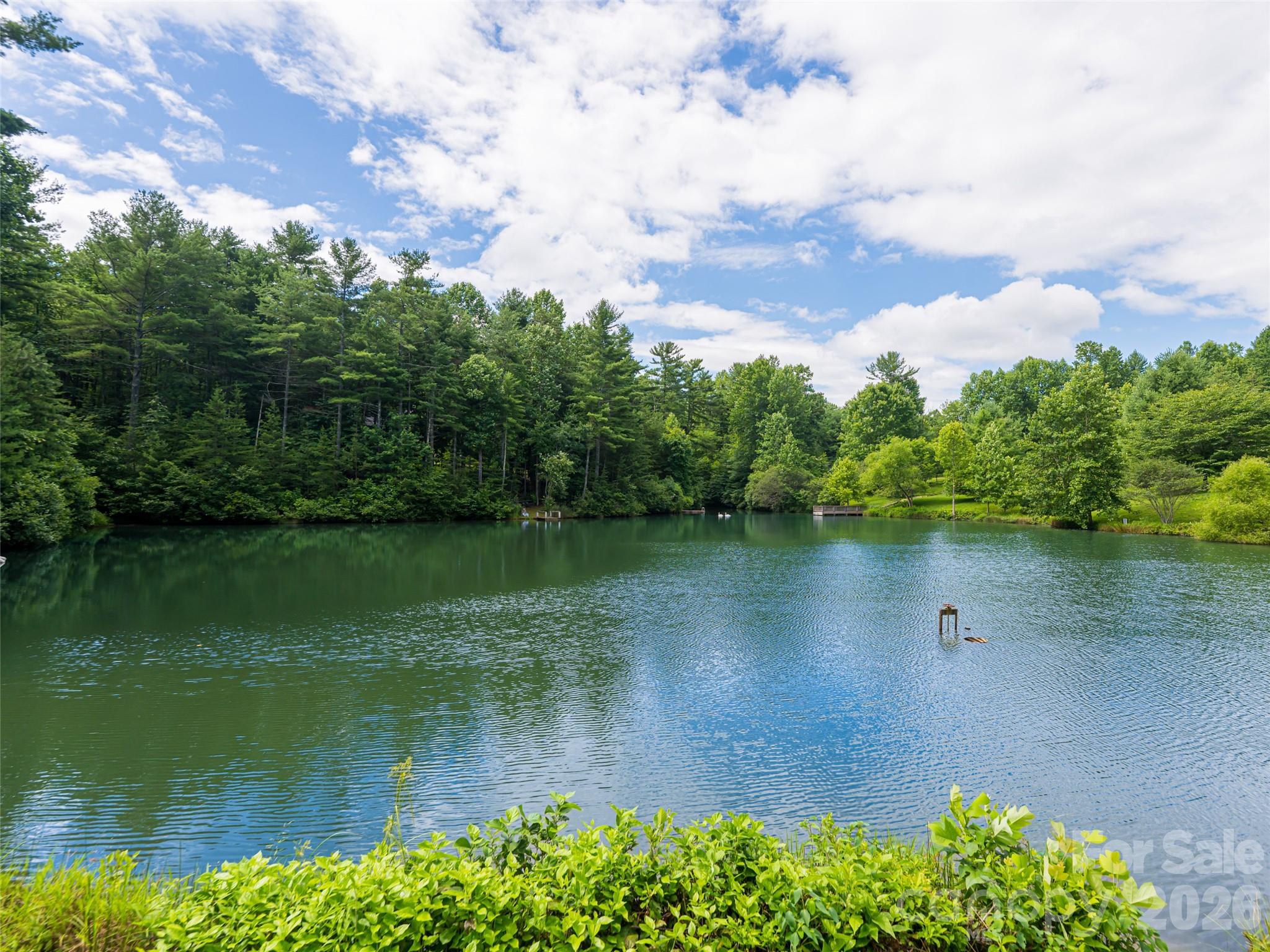 935 Whites Lake Boulevard — Saluda