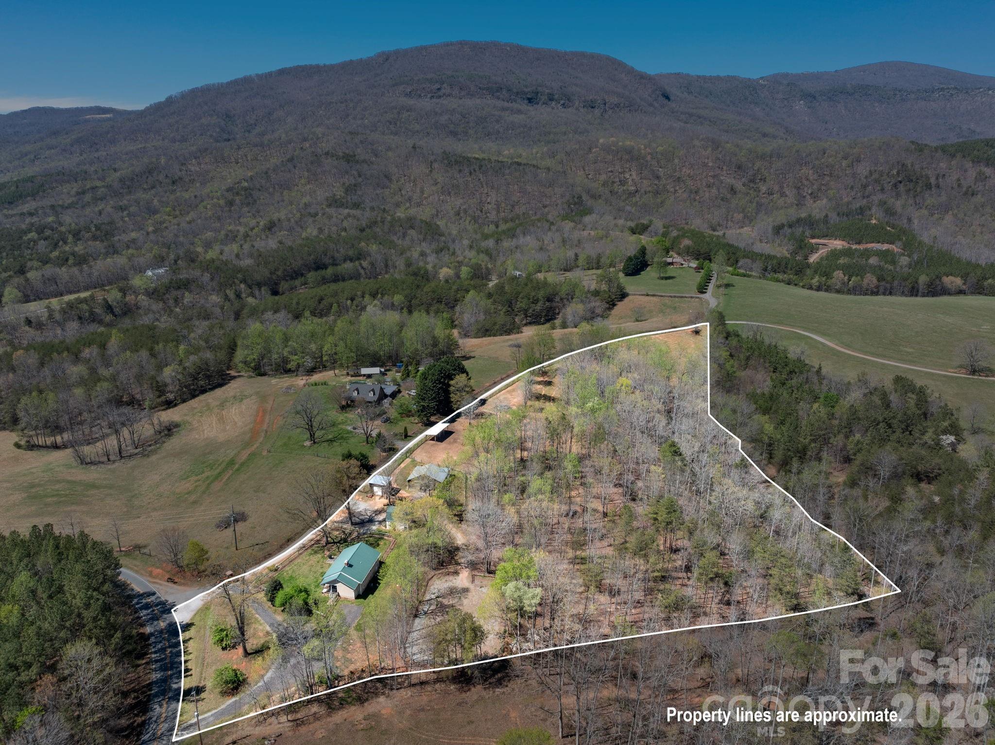 1434 Lake Adger Road — Mill Spring