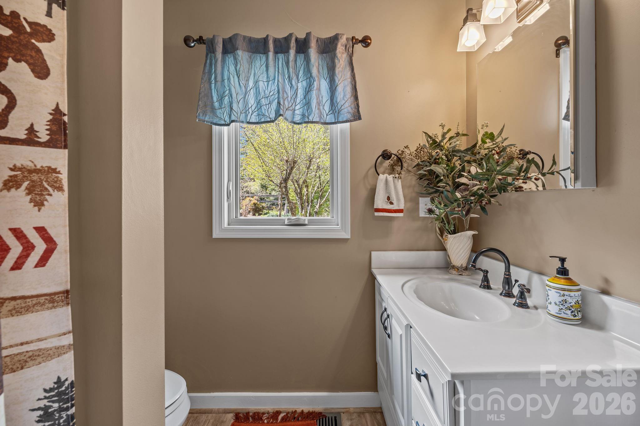 1531 Old Town Way — Hendersonville