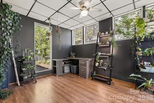 108 Faulkner Street — Clover