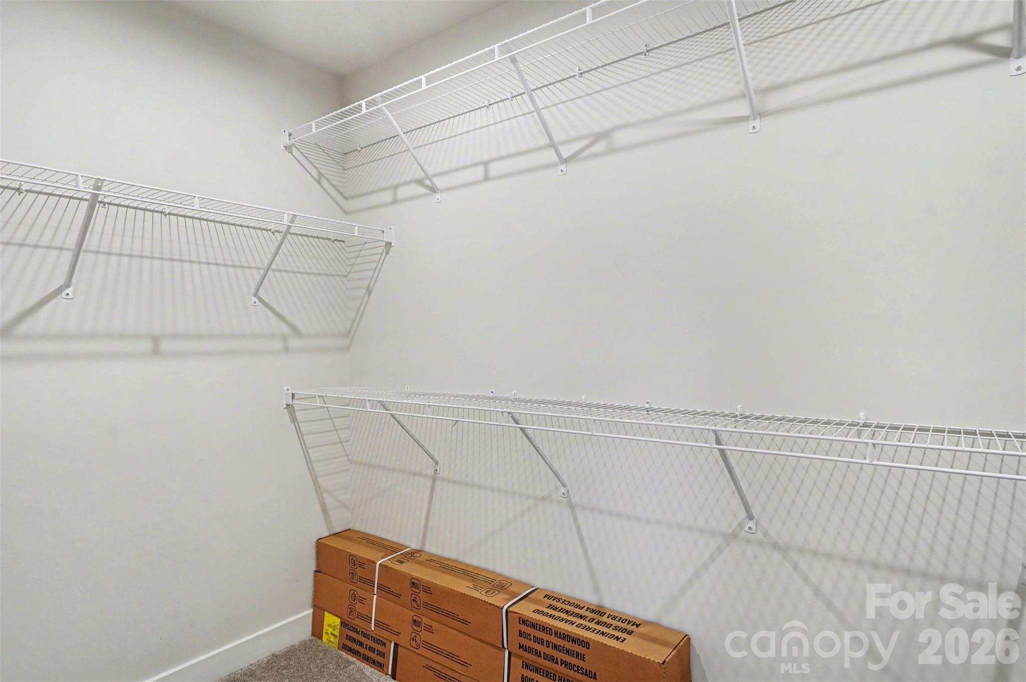 10190 Black Locust Lane #383 — Charlotte