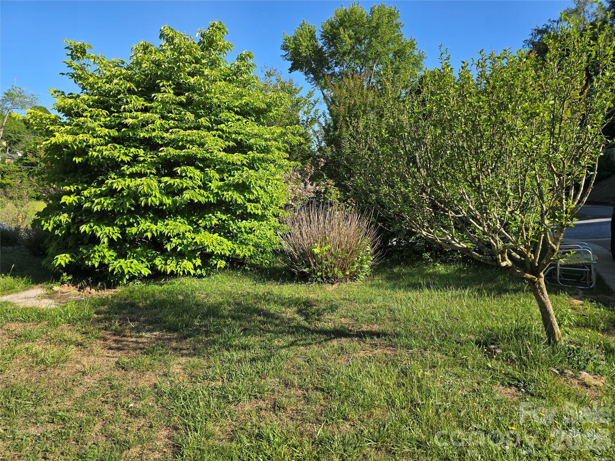 20 Mount Carmel Drive — Asheville