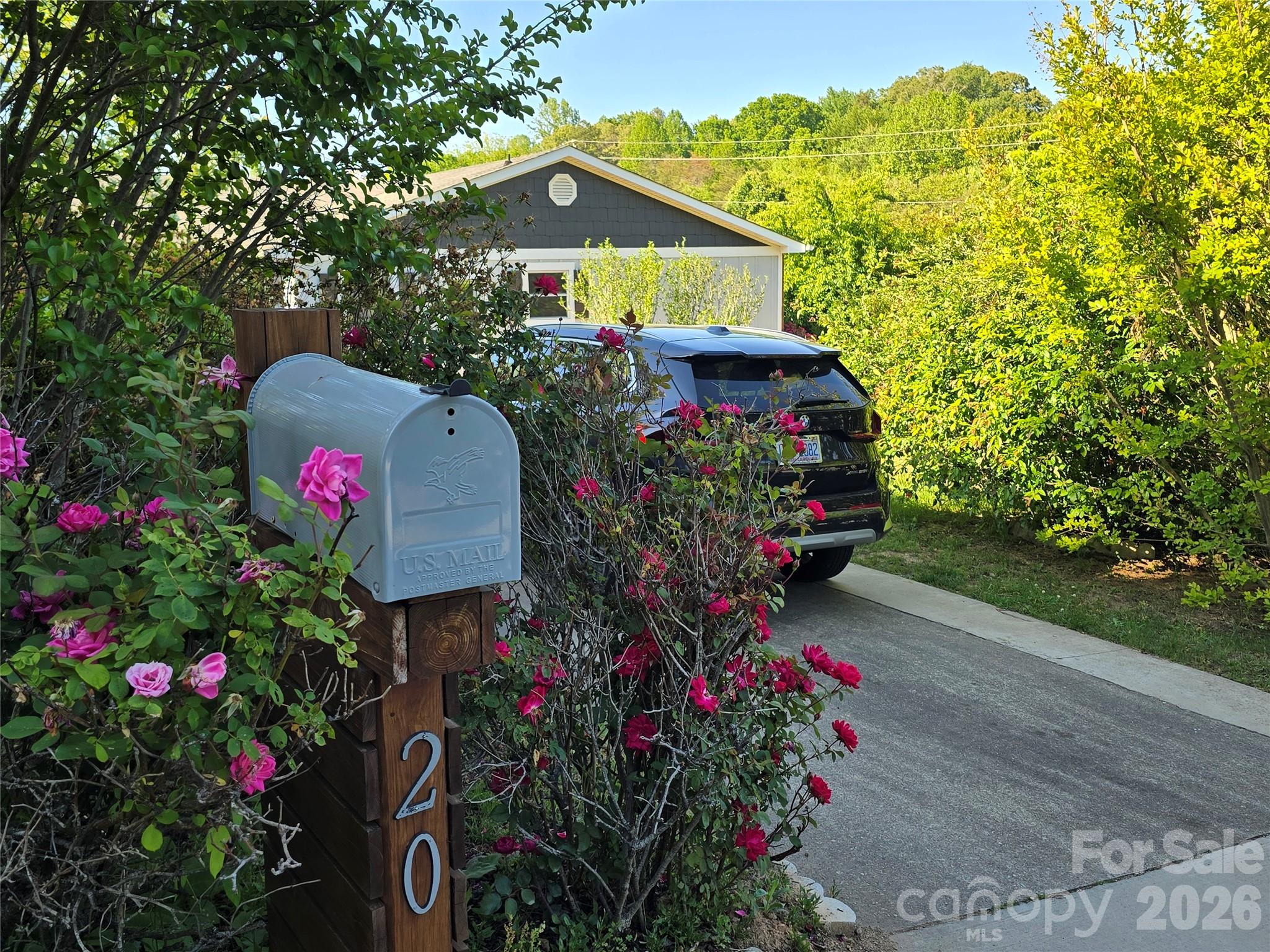 20 Mount Carmel Drive — Asheville