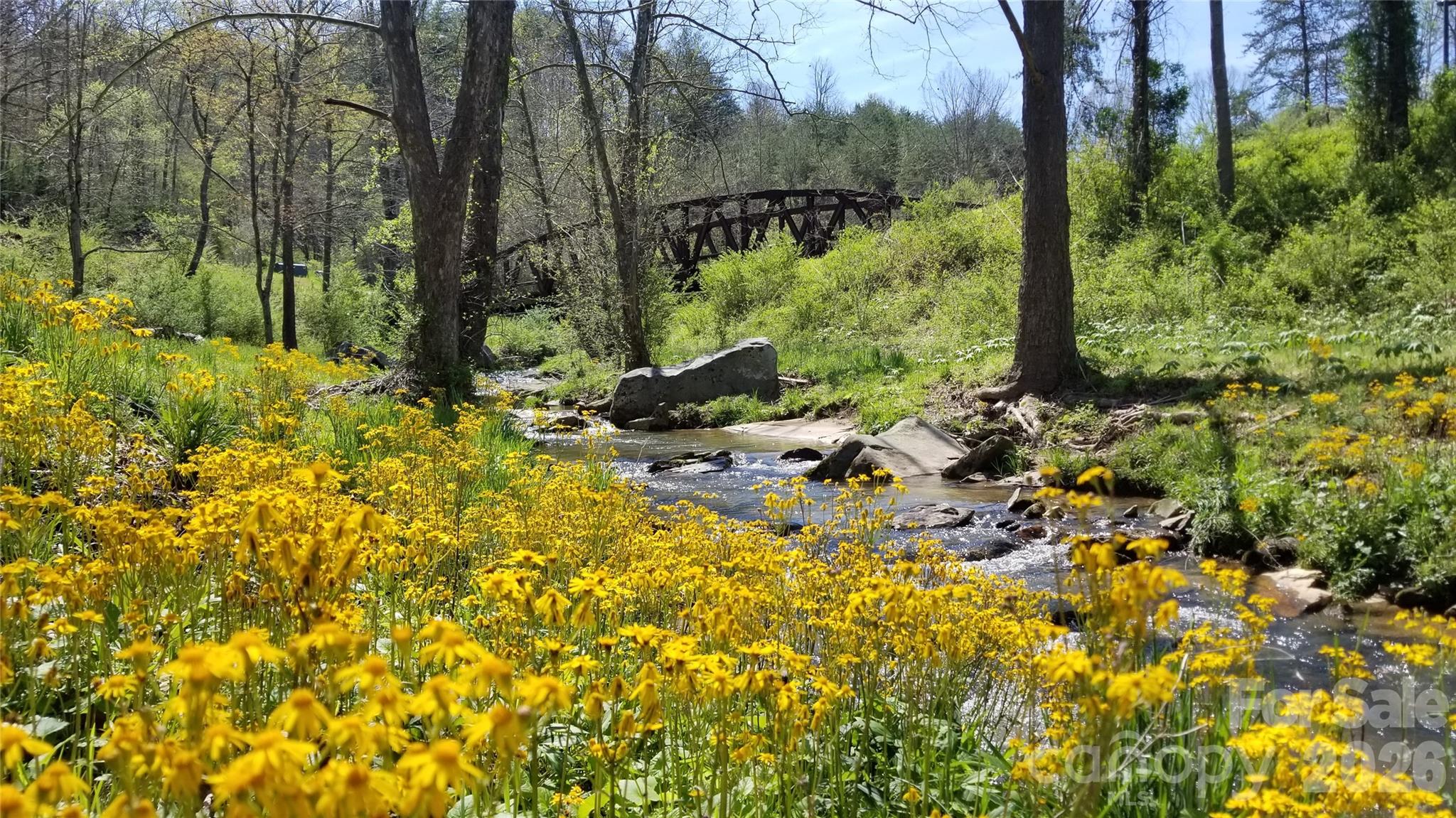 6 River Run #2 — Asheville
