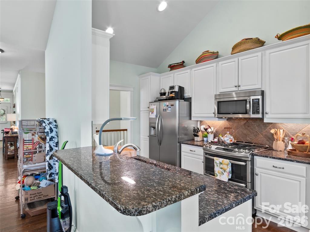 22 S Kaufman Stone Way — Biltmore Lake