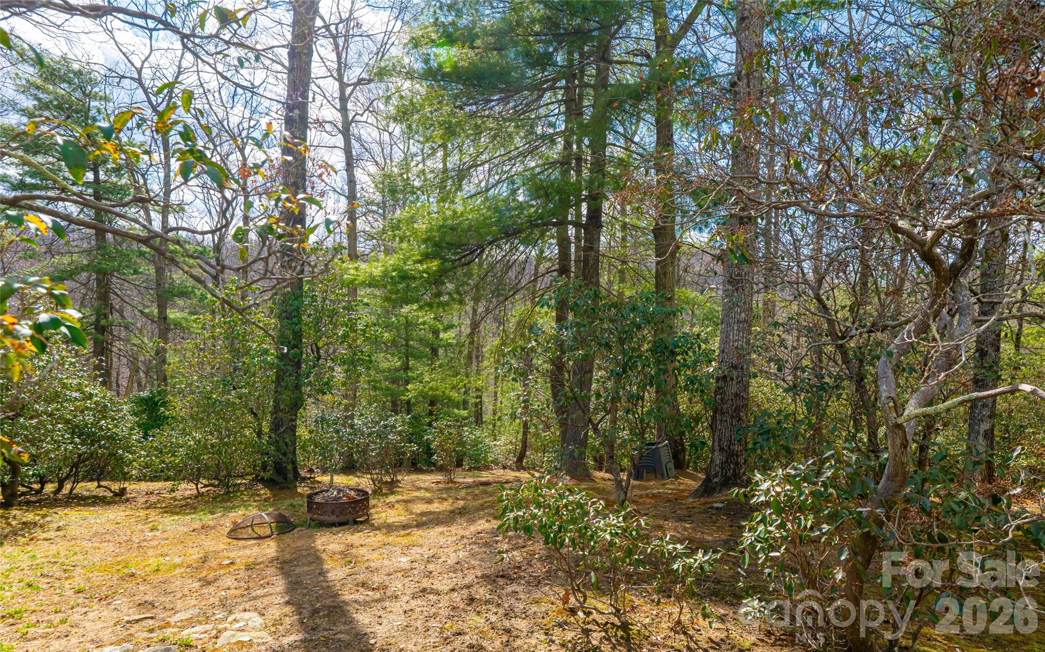 82 Red Mulberry Drive — Zirconia