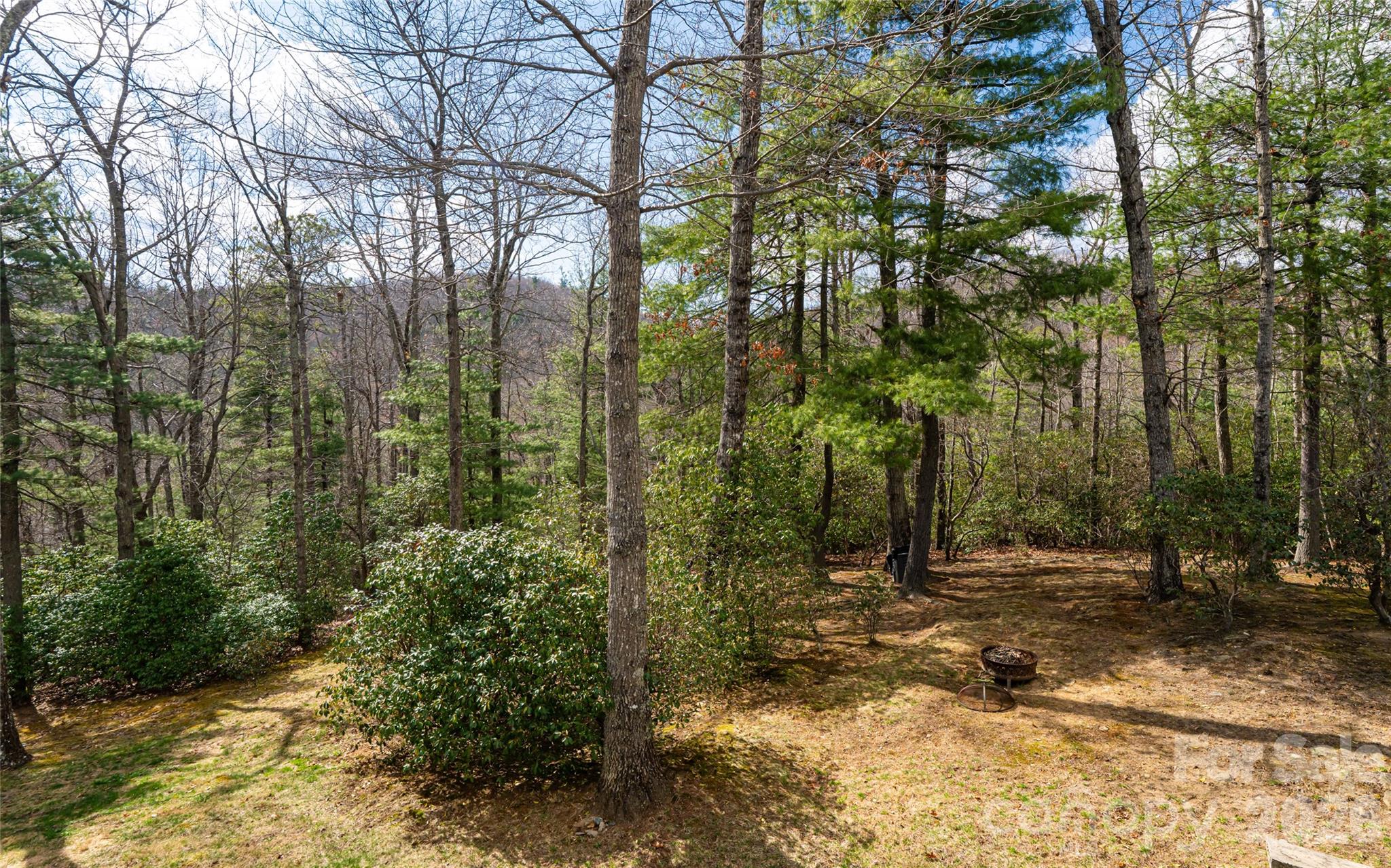 82 Red Mulberry Drive — Zirconia