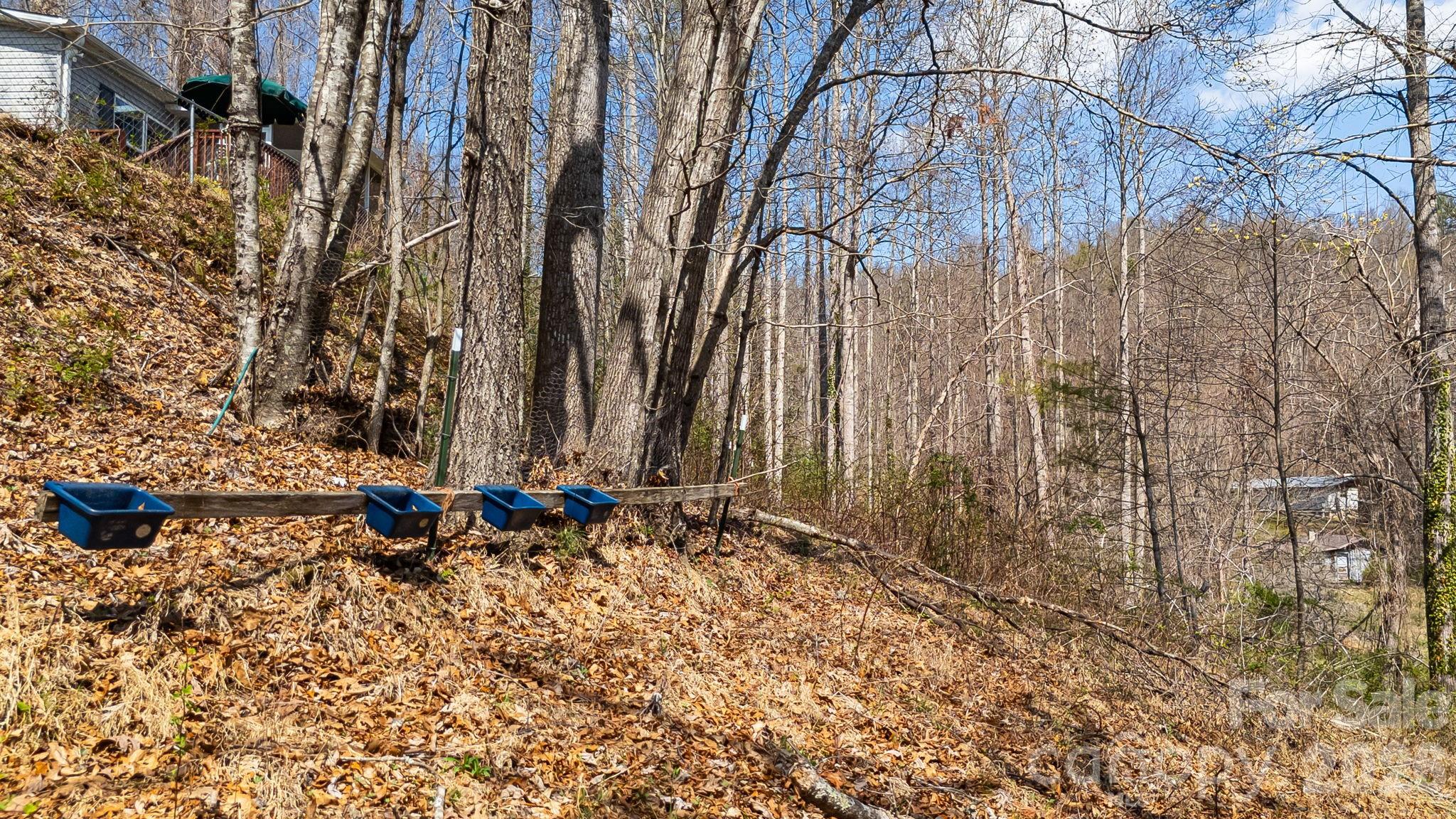 403 Youngs Gap Road — Fletcher