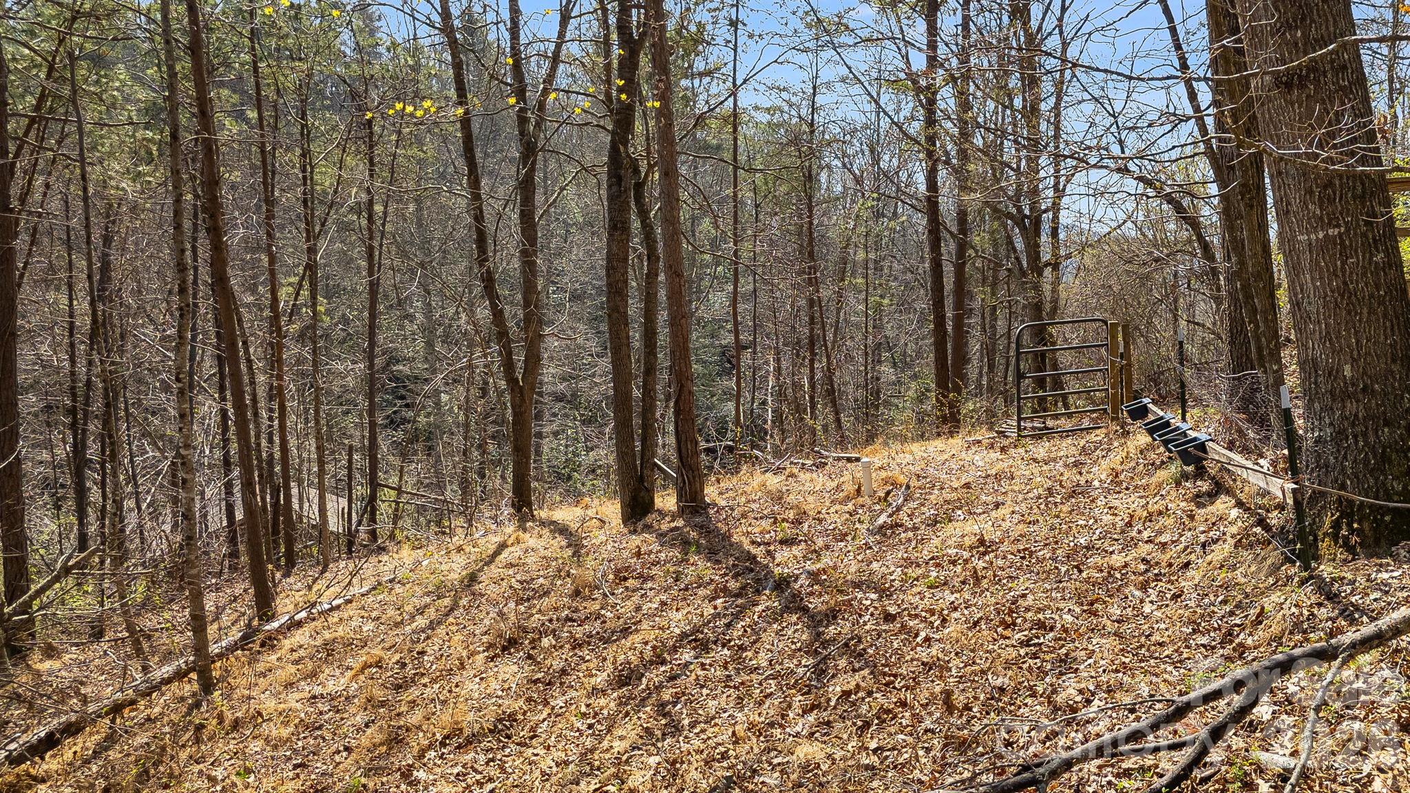 403 Youngs Gap Road — Fletcher