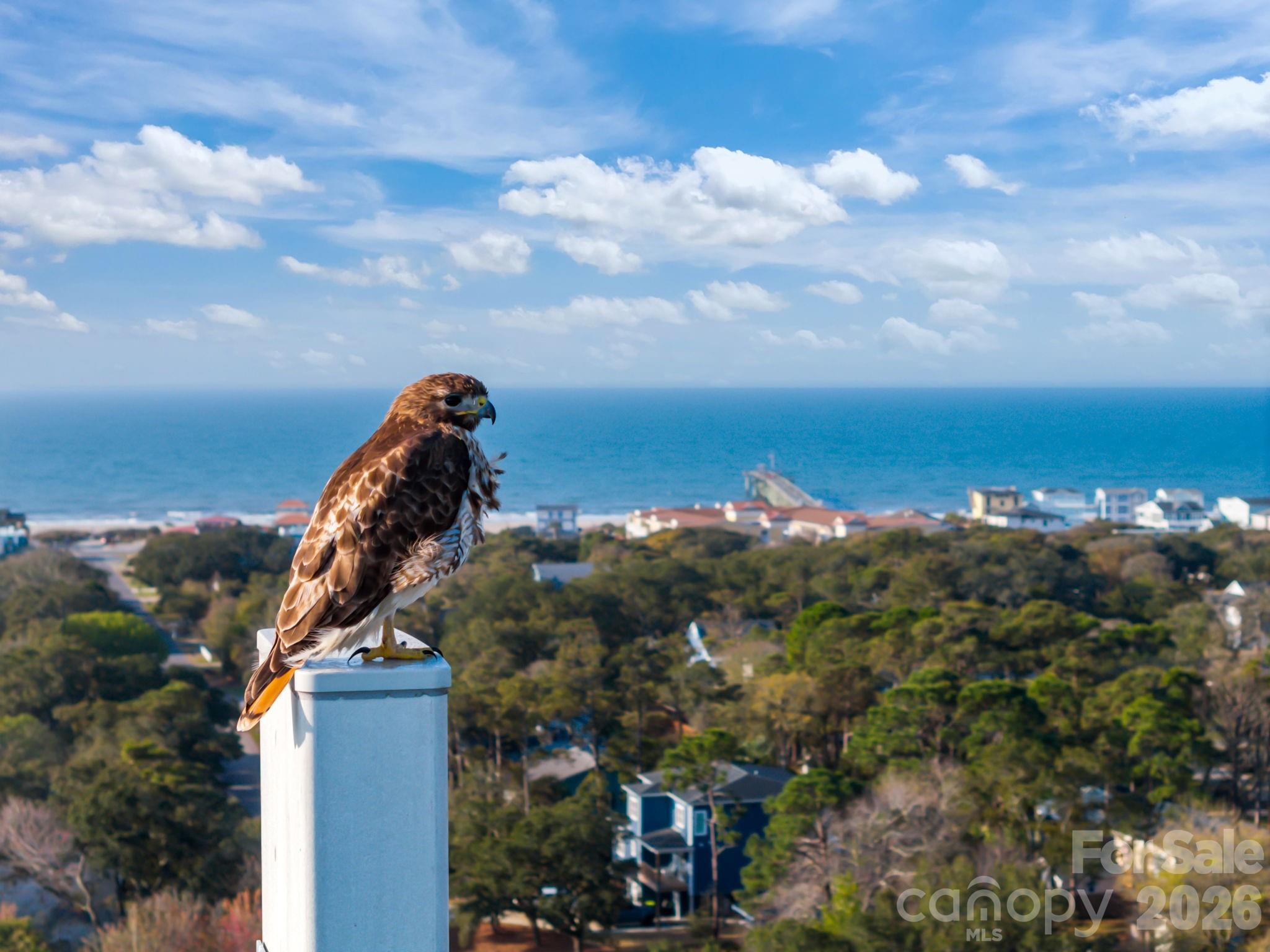 137 NE 4th Street — Oak Island