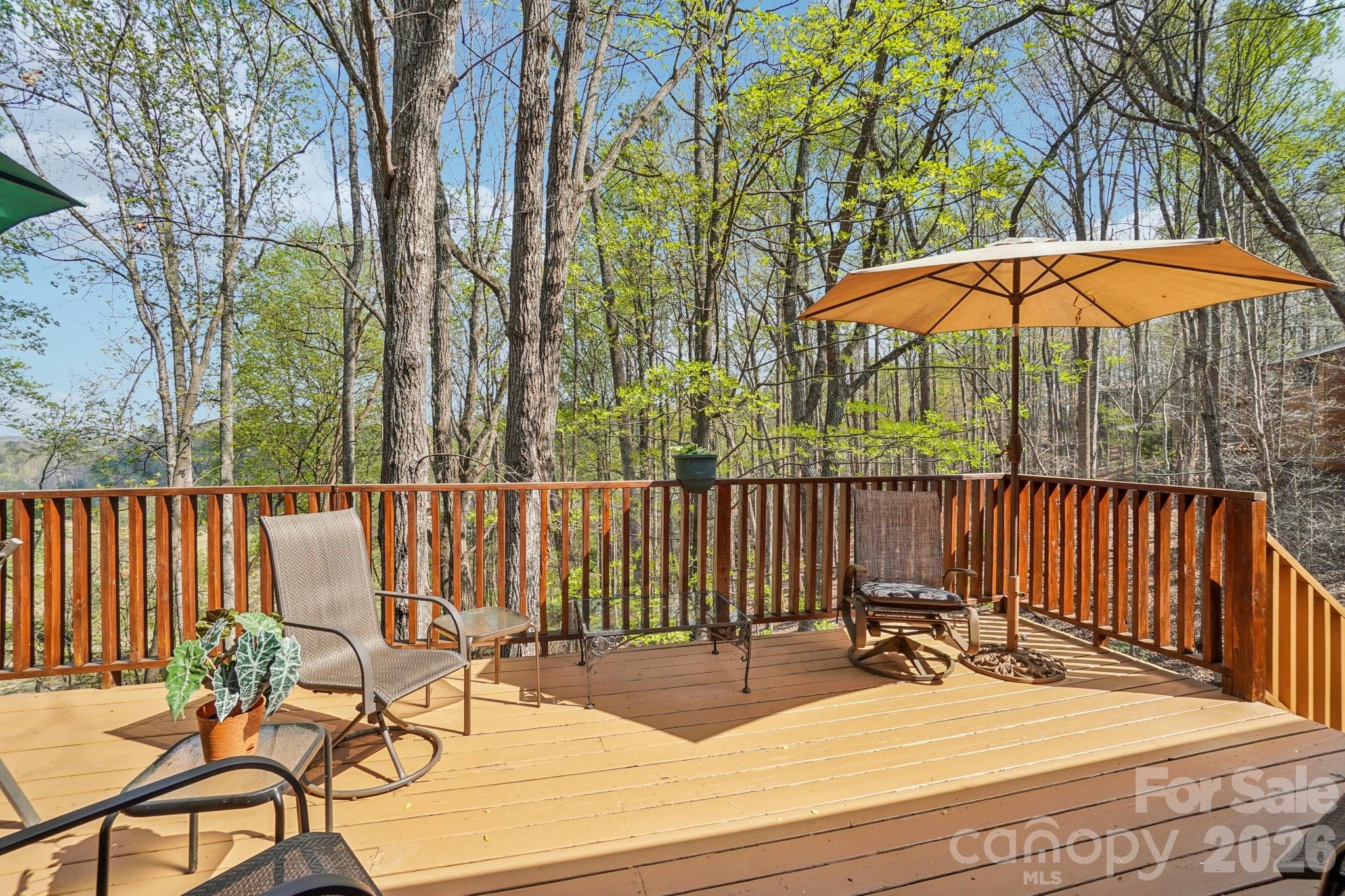 409 Whitney Boulevard — Lake Lure