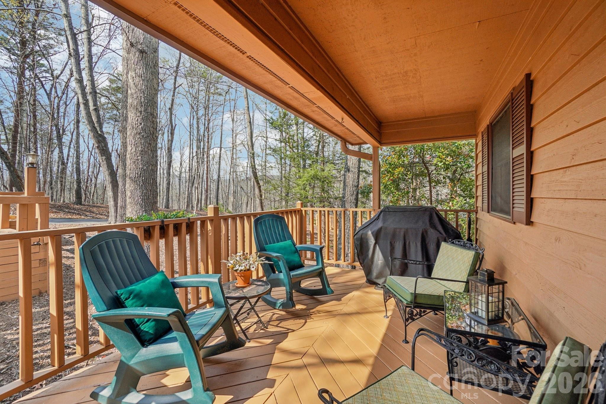 409 Whitney Boulevard — Lake Lure
