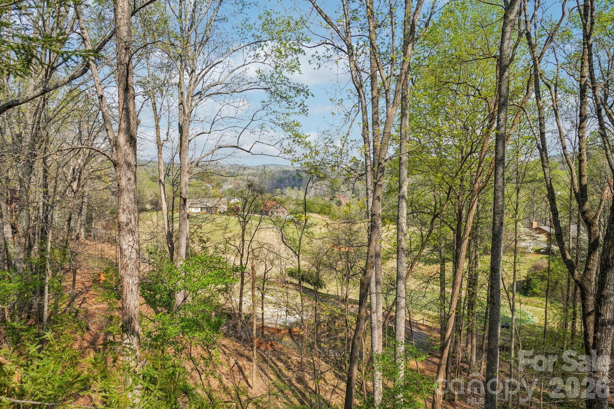 409 Whitney Boulevard — Lake Lure