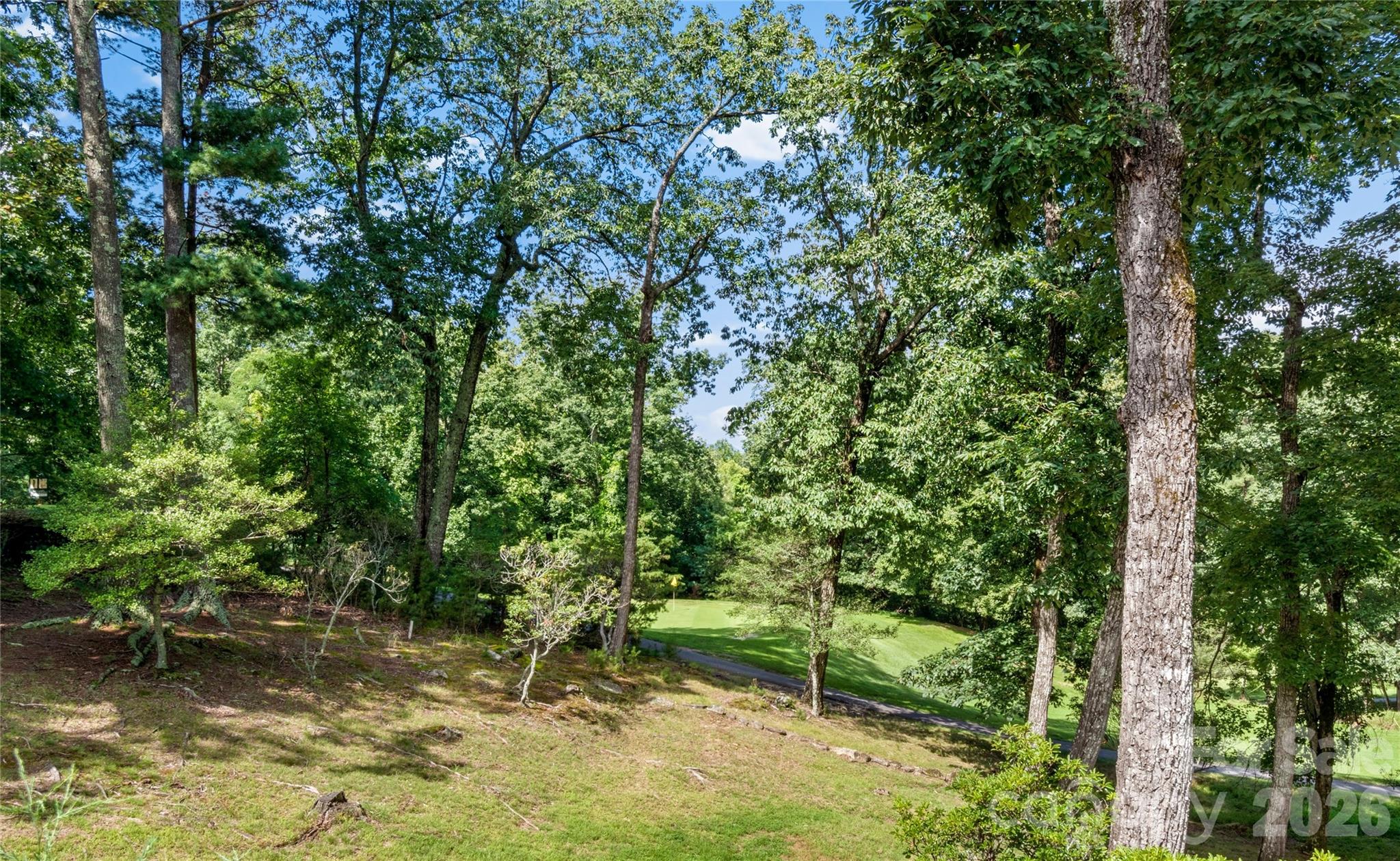 1502 Greenstreet Drive — Traphill