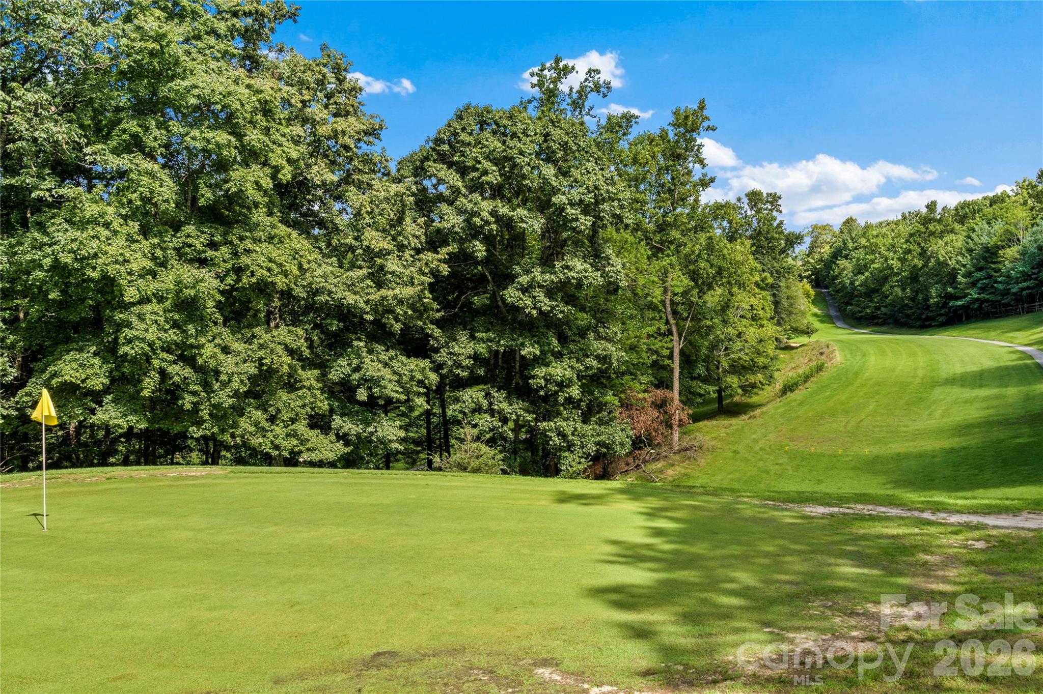 1502 Greenstreet Drive — Traphill