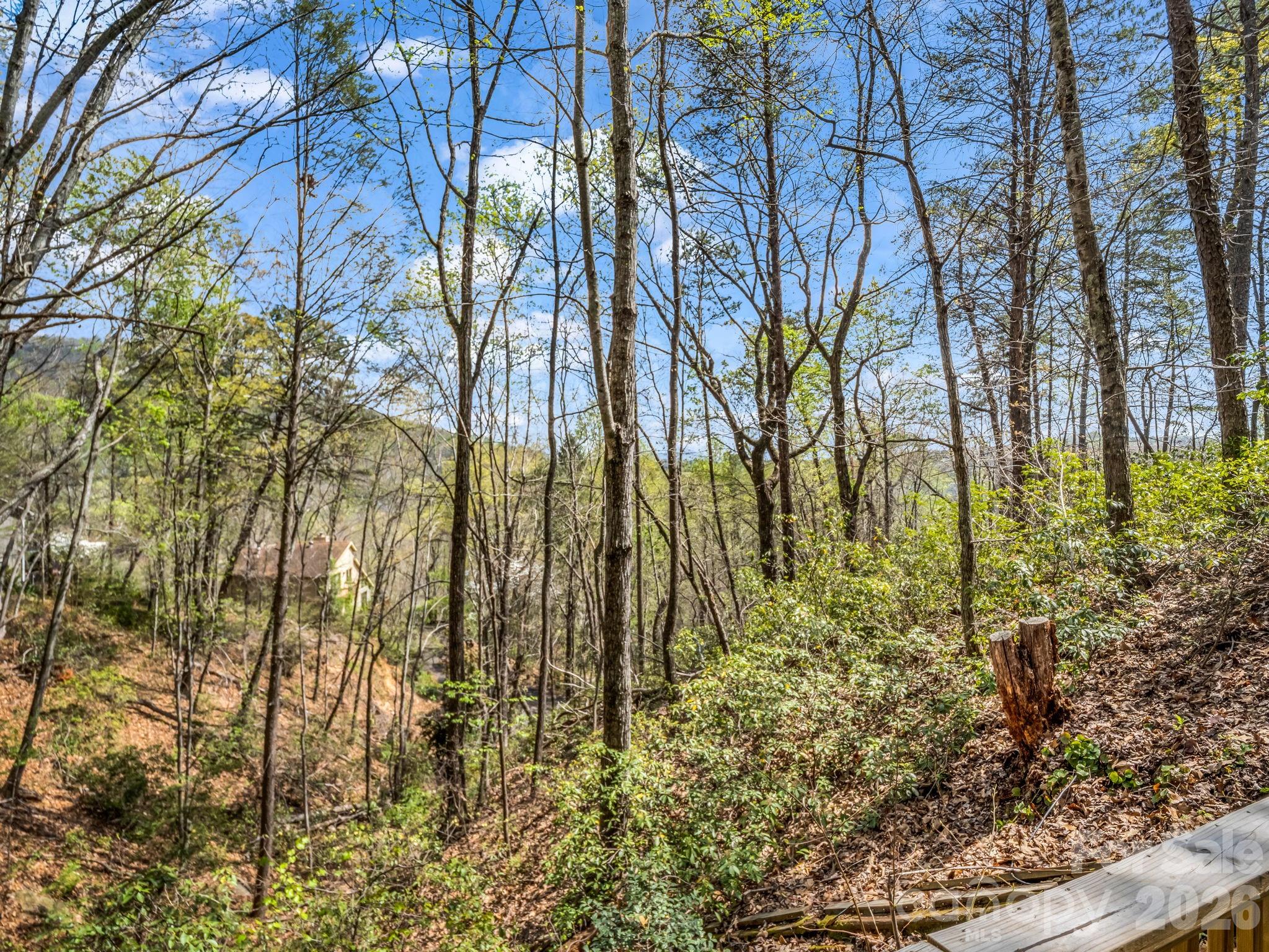 307 Watership Road — Lake Lure