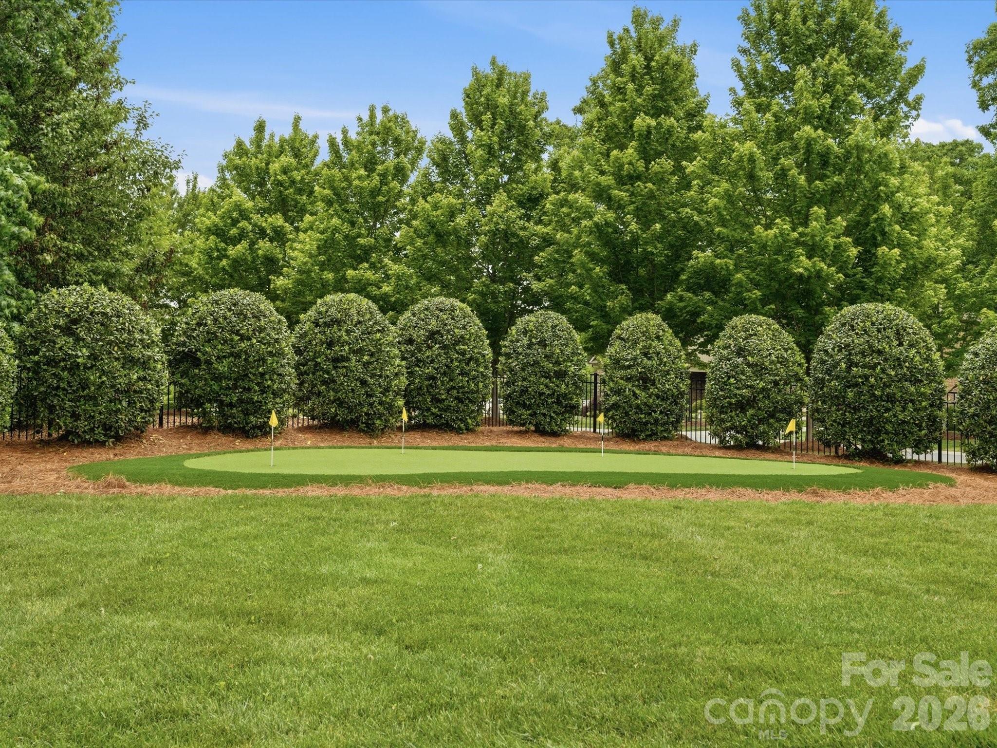 1269 Delaney Drive — Weddington