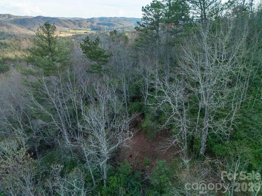 410 Forest Lake Road — Brevard