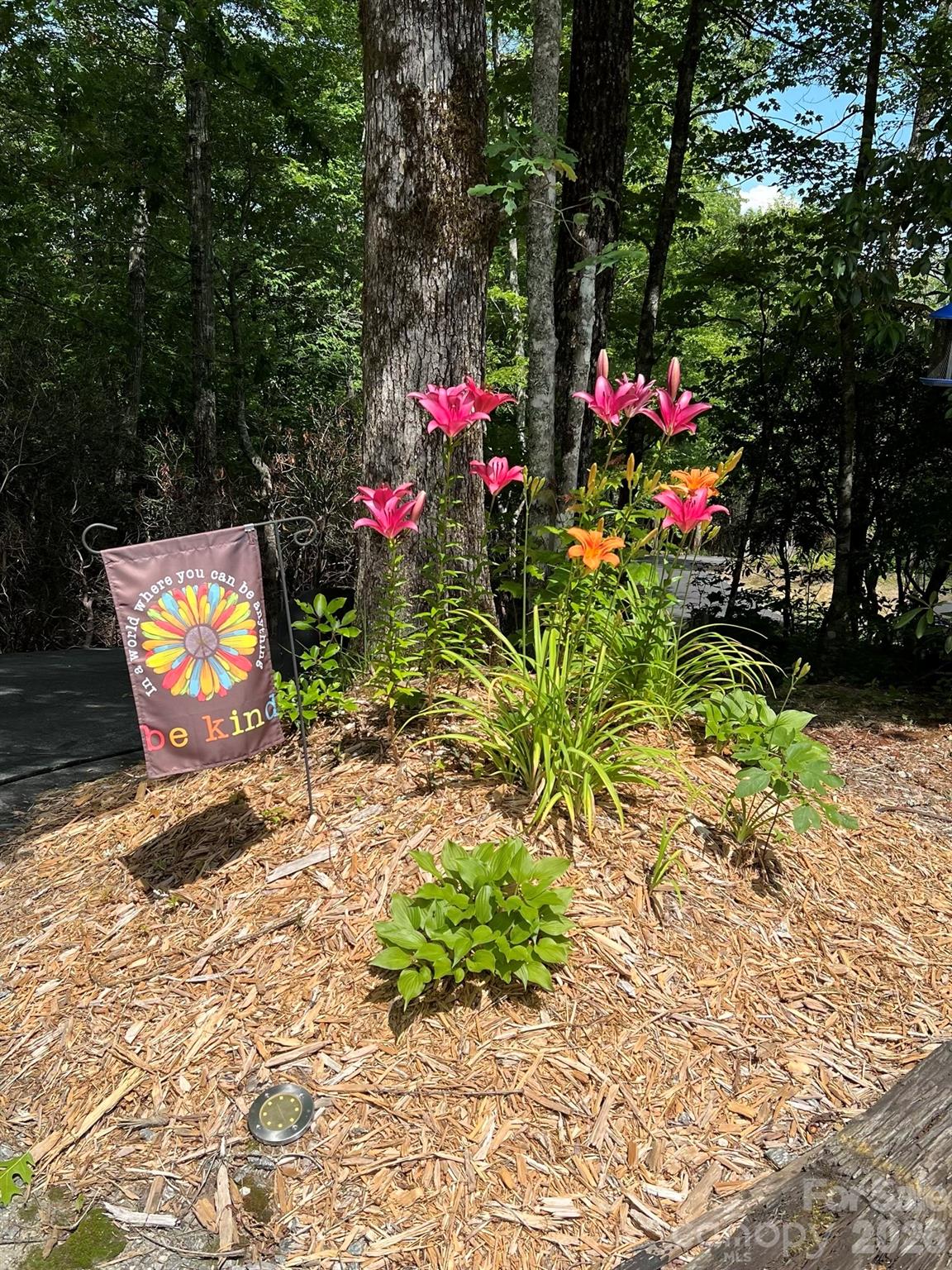 410 Forest Lake Road — Brevard