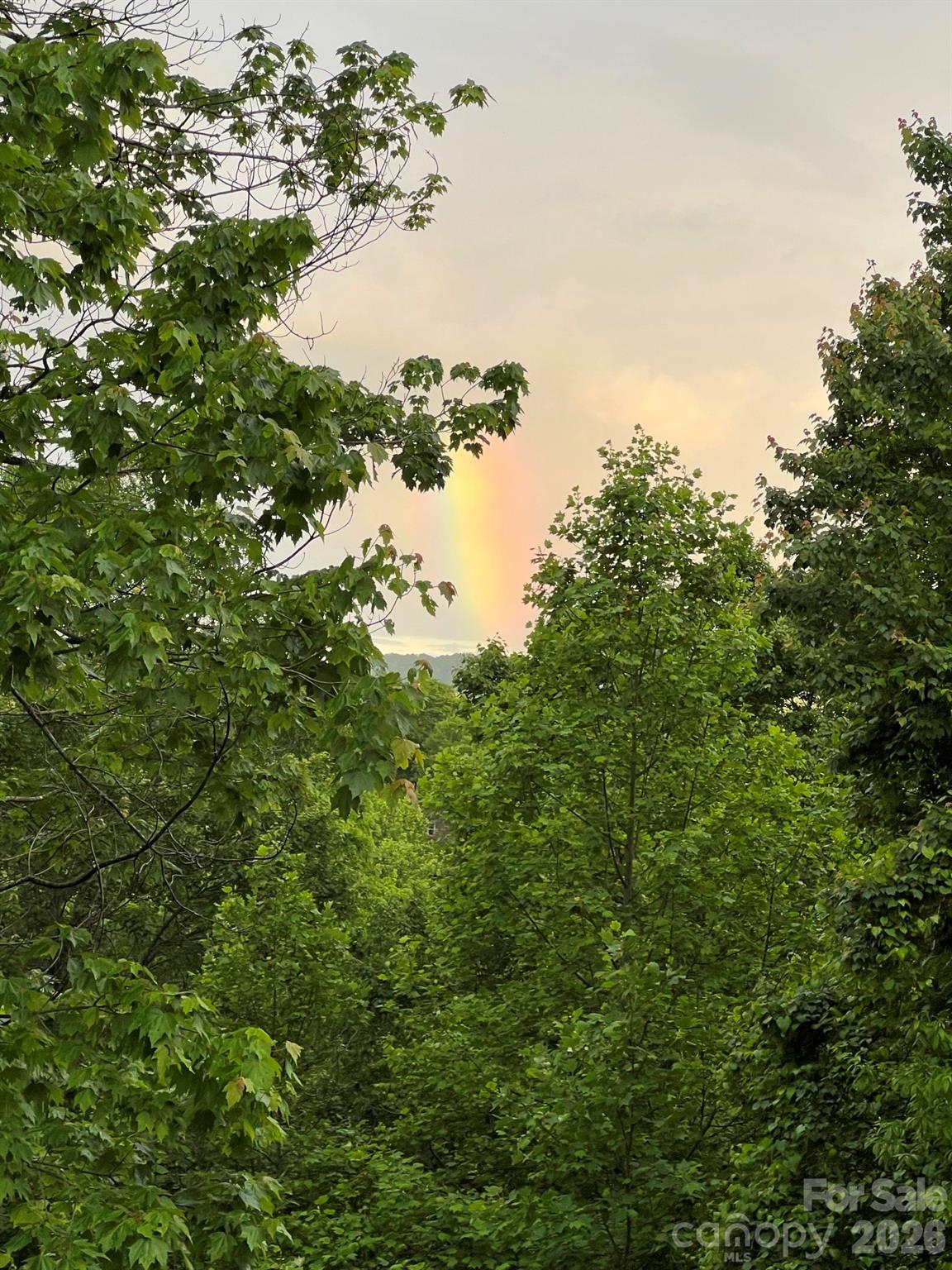 410 Forest Lake Road — Brevard