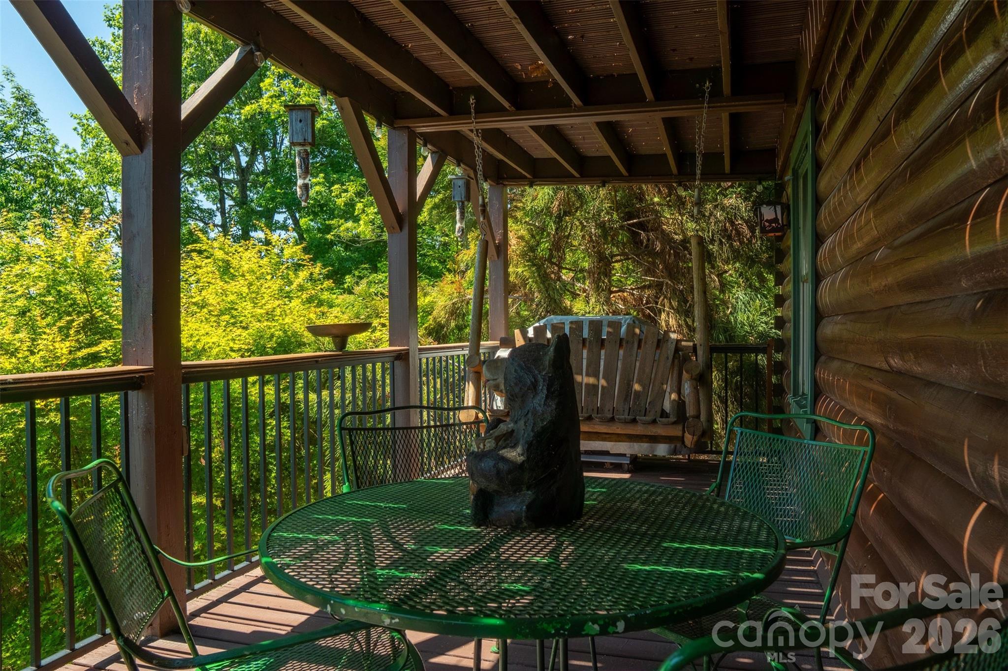 300 Williams Circle — Lake Lure