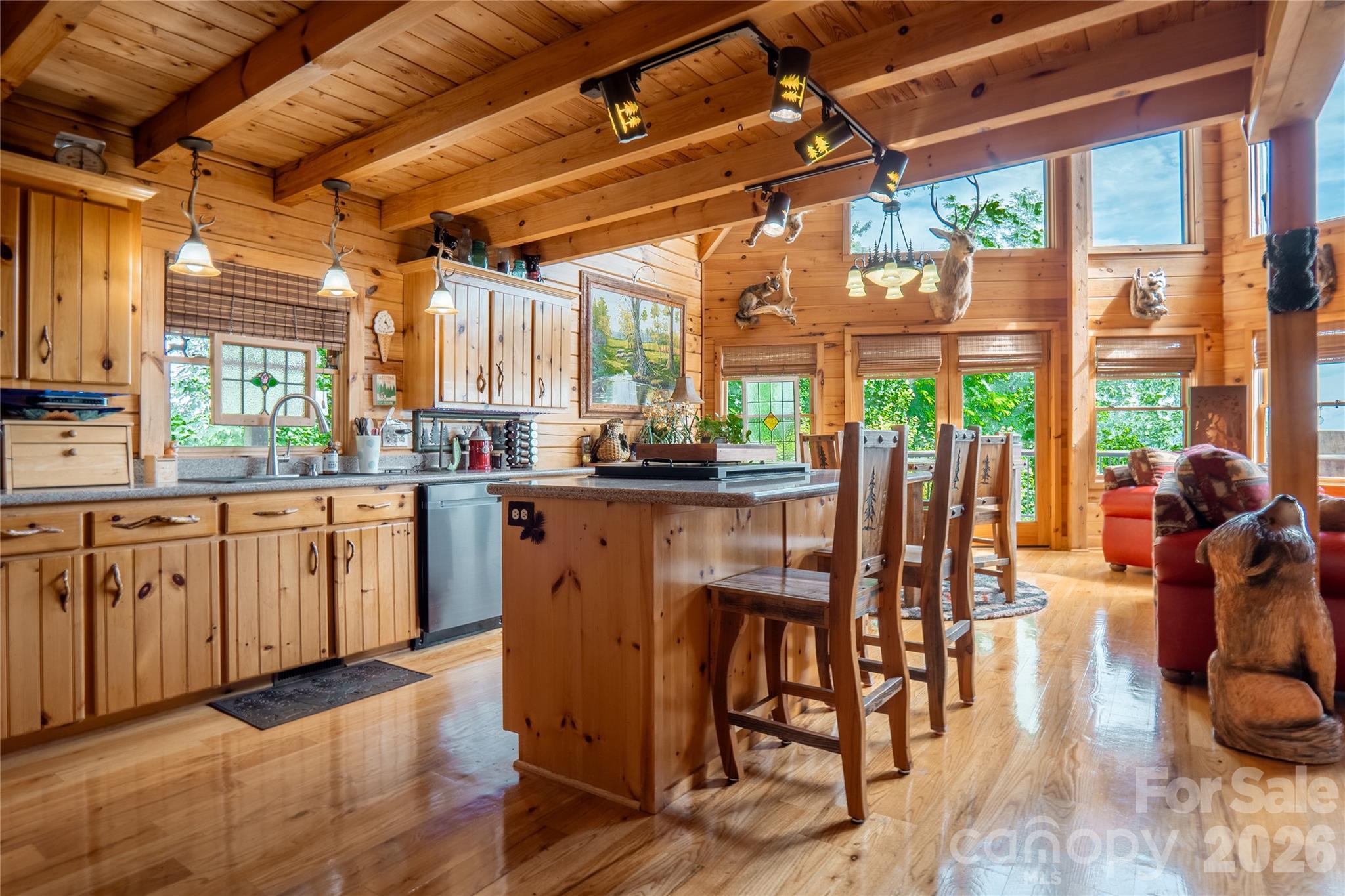 300 Williams Circle — Lake Lure