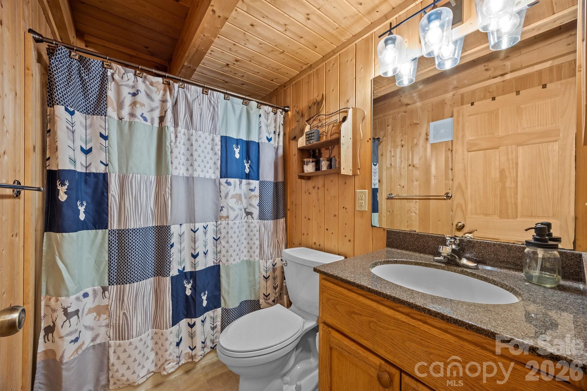 173 Mistletoe Park — Lake Lure