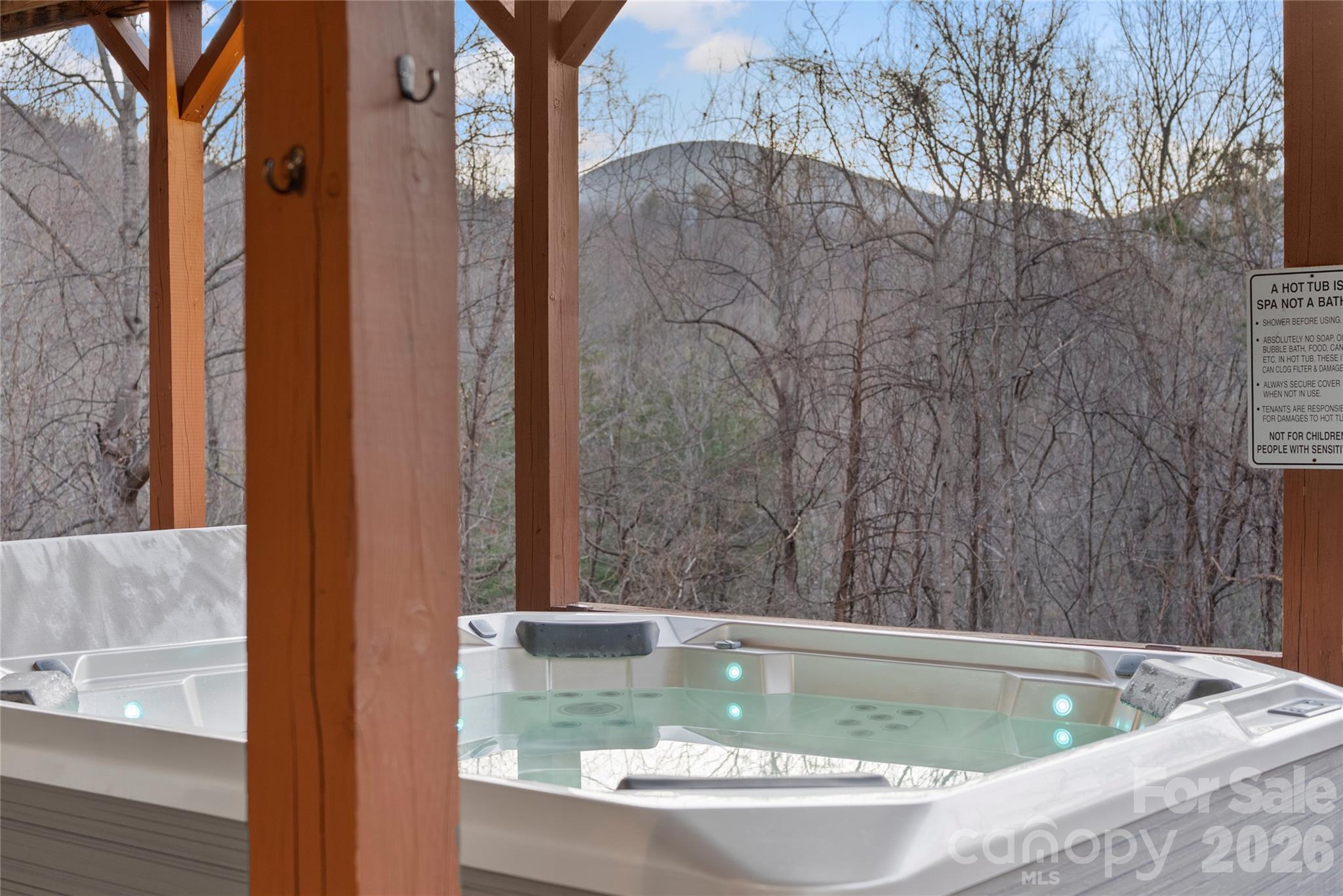 173 Mistletoe Park — Lake Lure