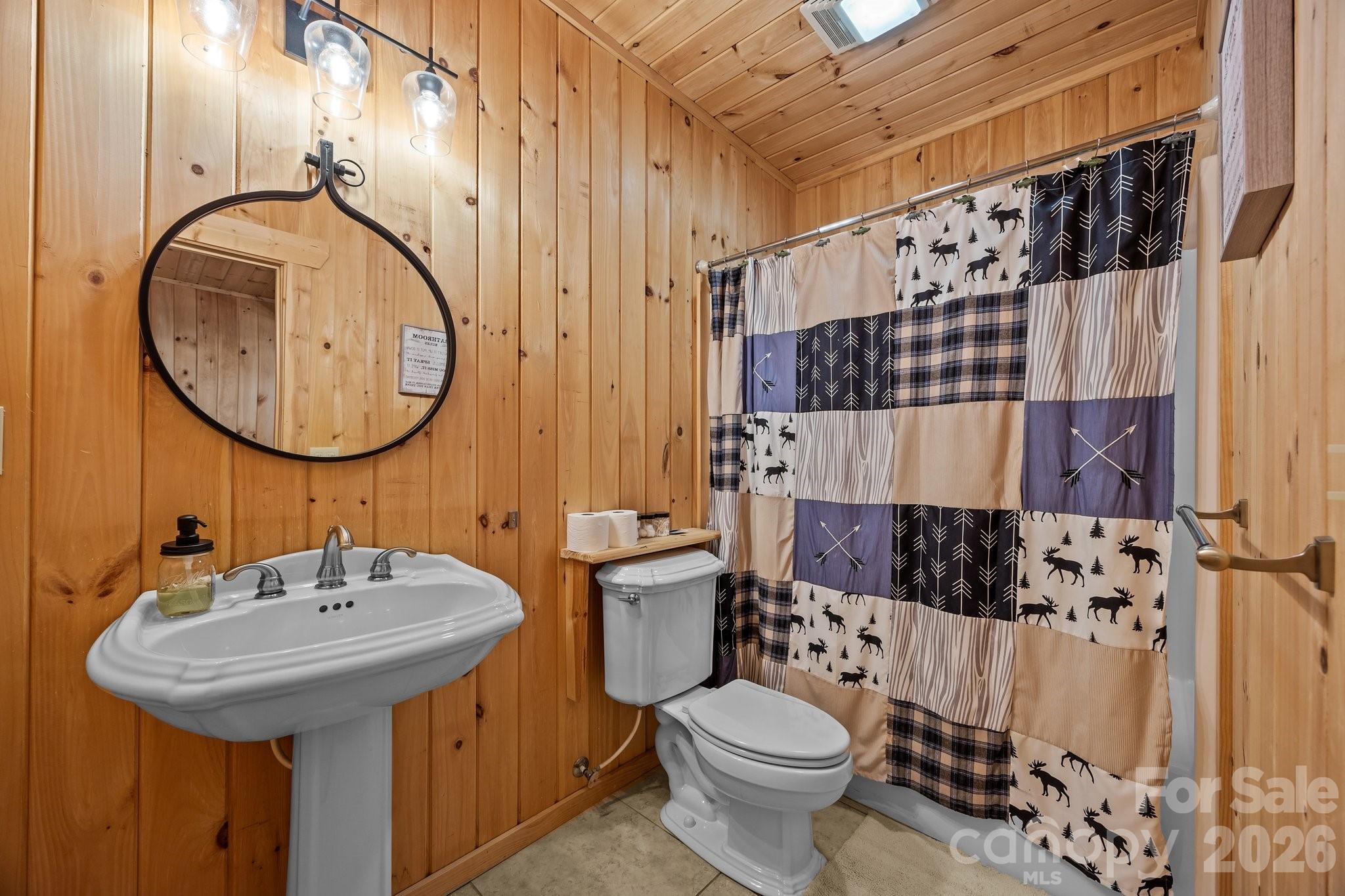 173 Mistletoe Park — Lake Lure