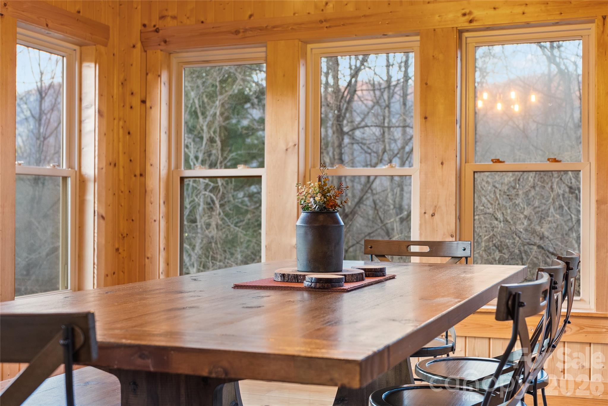 173 Mistletoe Park — Lake Lure