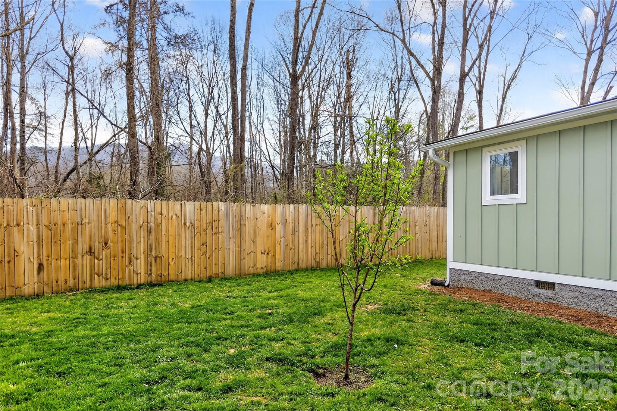 216 Vance Avenue — Black Mountain