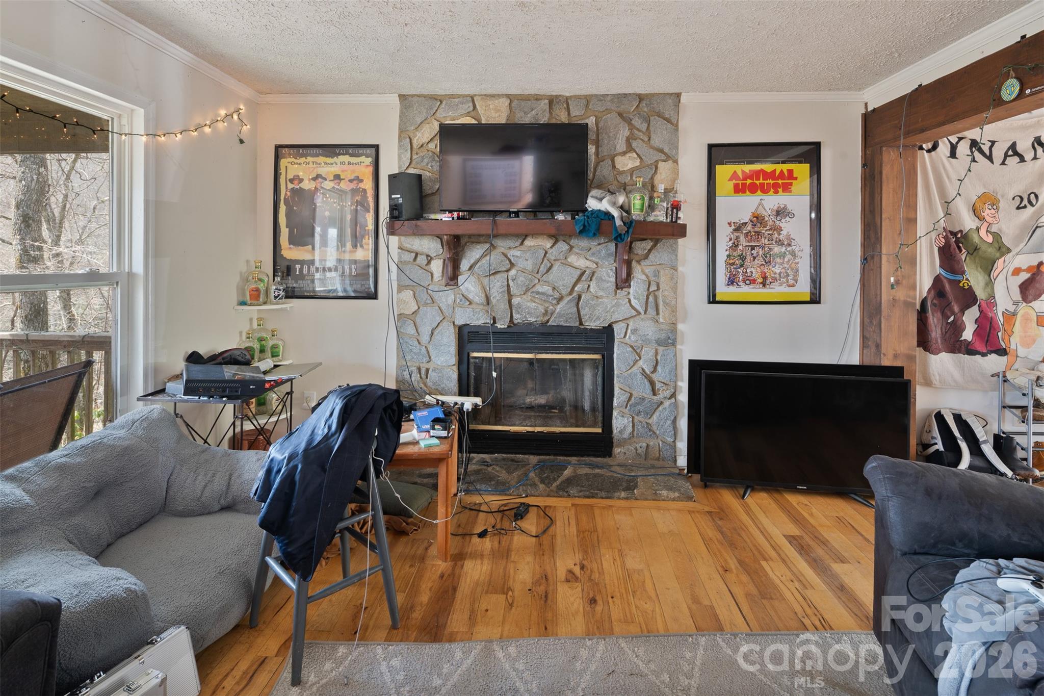 656 Winterberry Trail — Boone