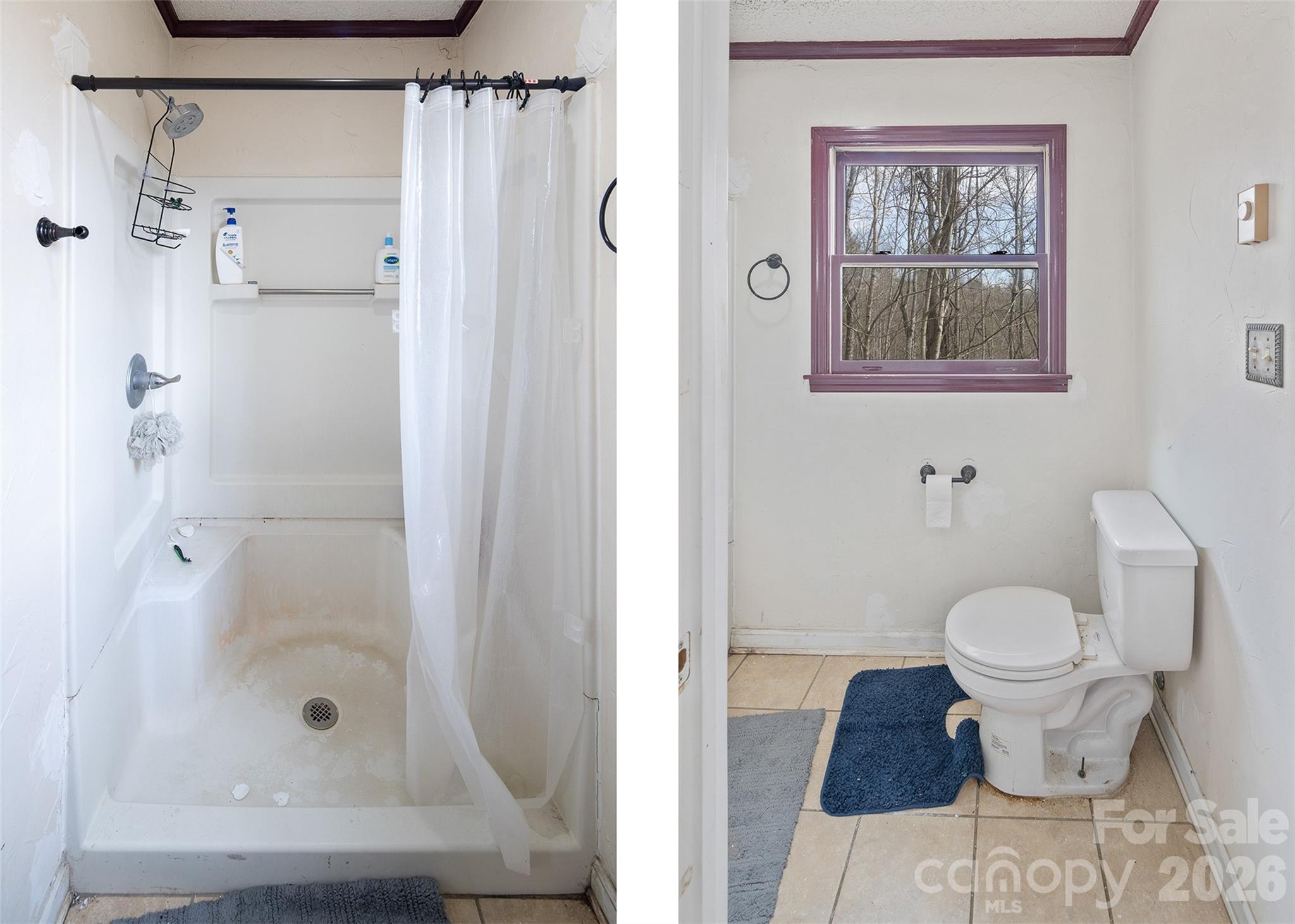 656 Winterberry Trail — Boone