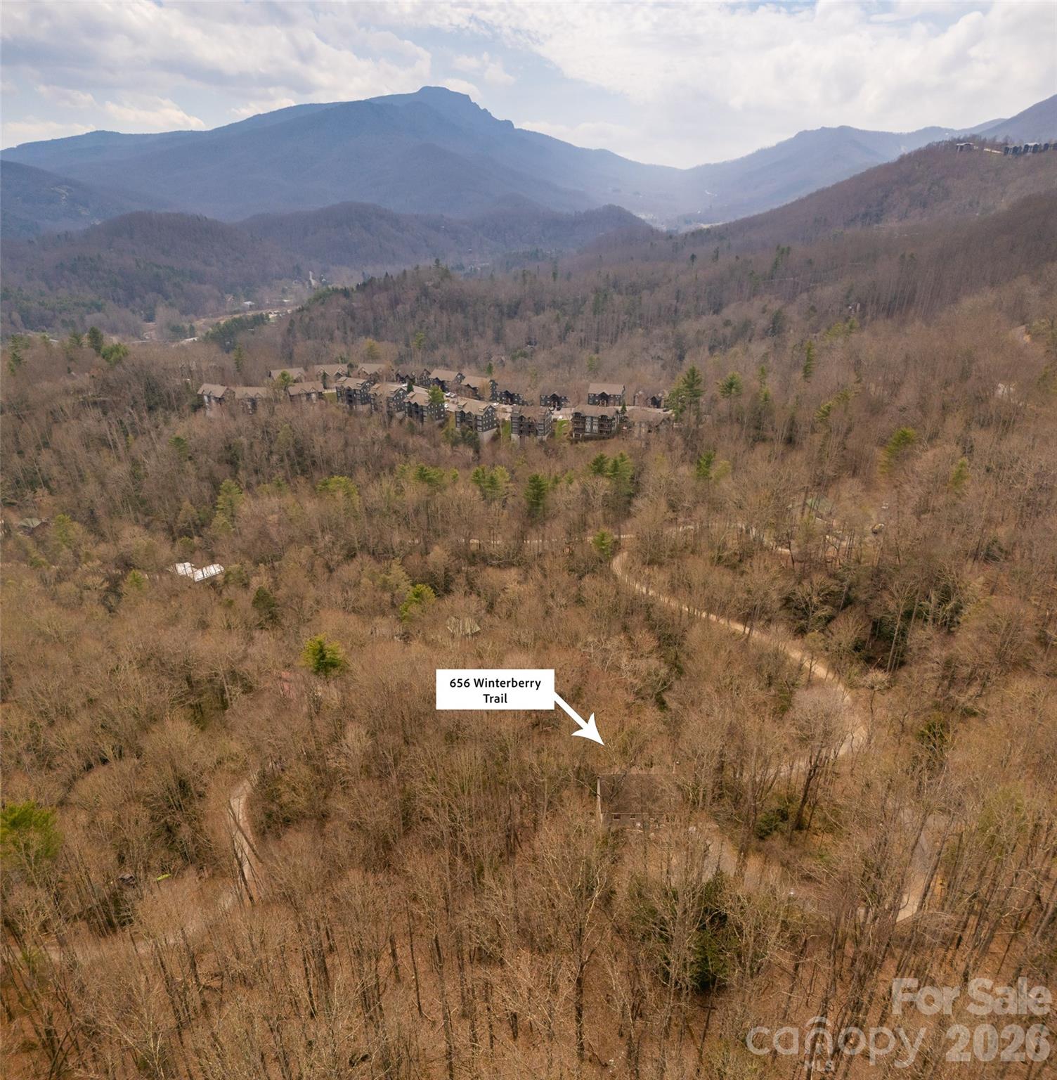 656 Winterberry Trail — Boone