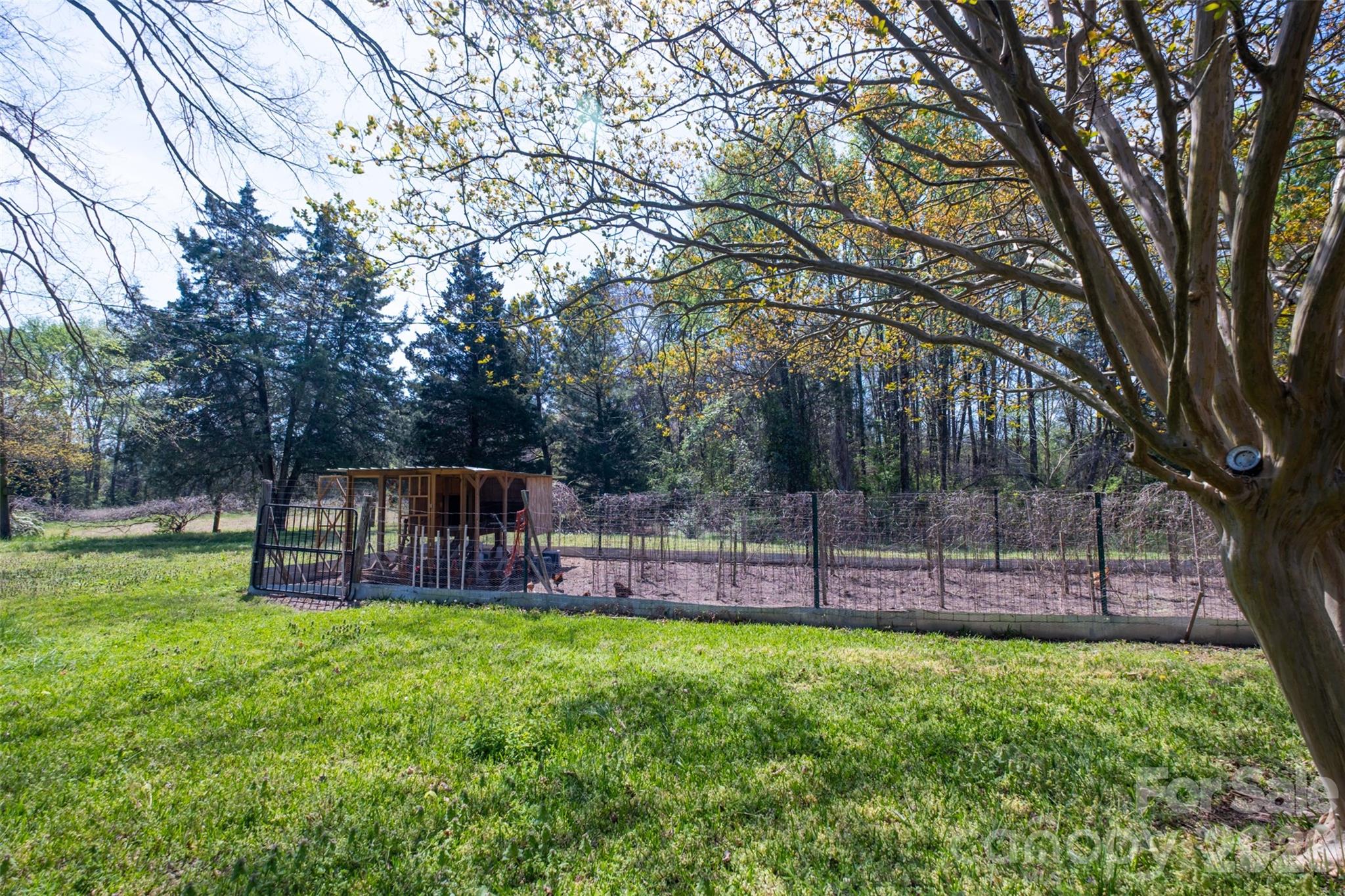 9730 Mount Holly Huntersville Road — Huntersville